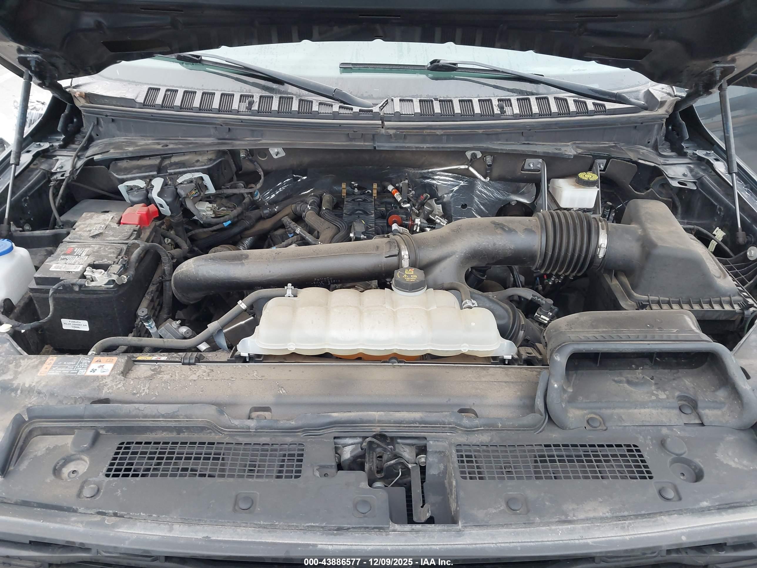 FORD EXPEDITION image 10