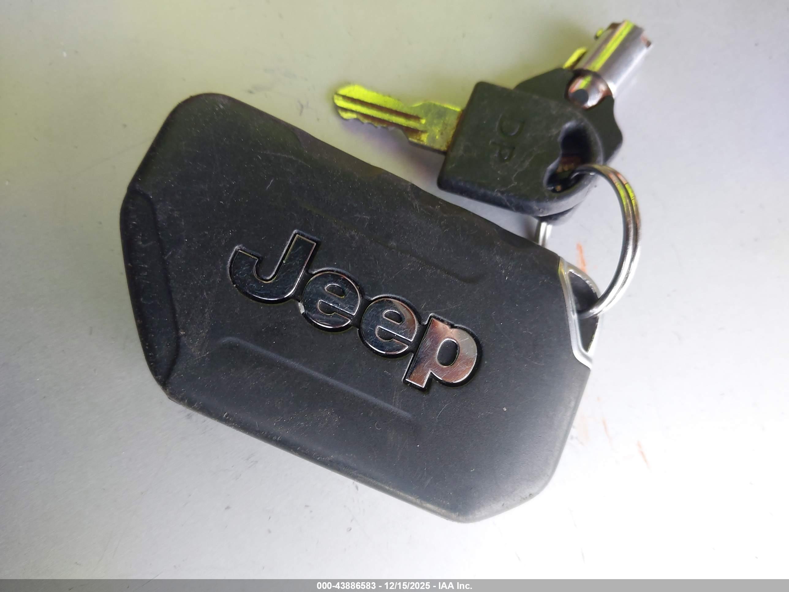 JEEP WRANGLER image 11