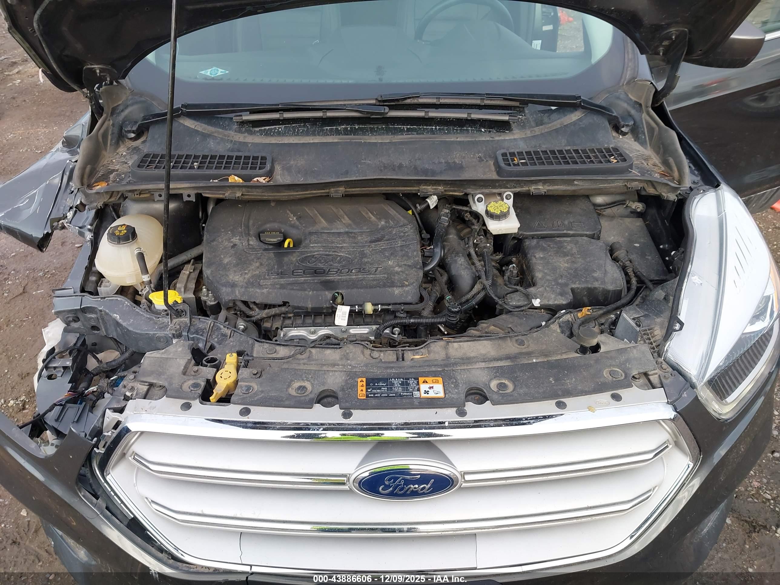 FORD ESCAPE image 10