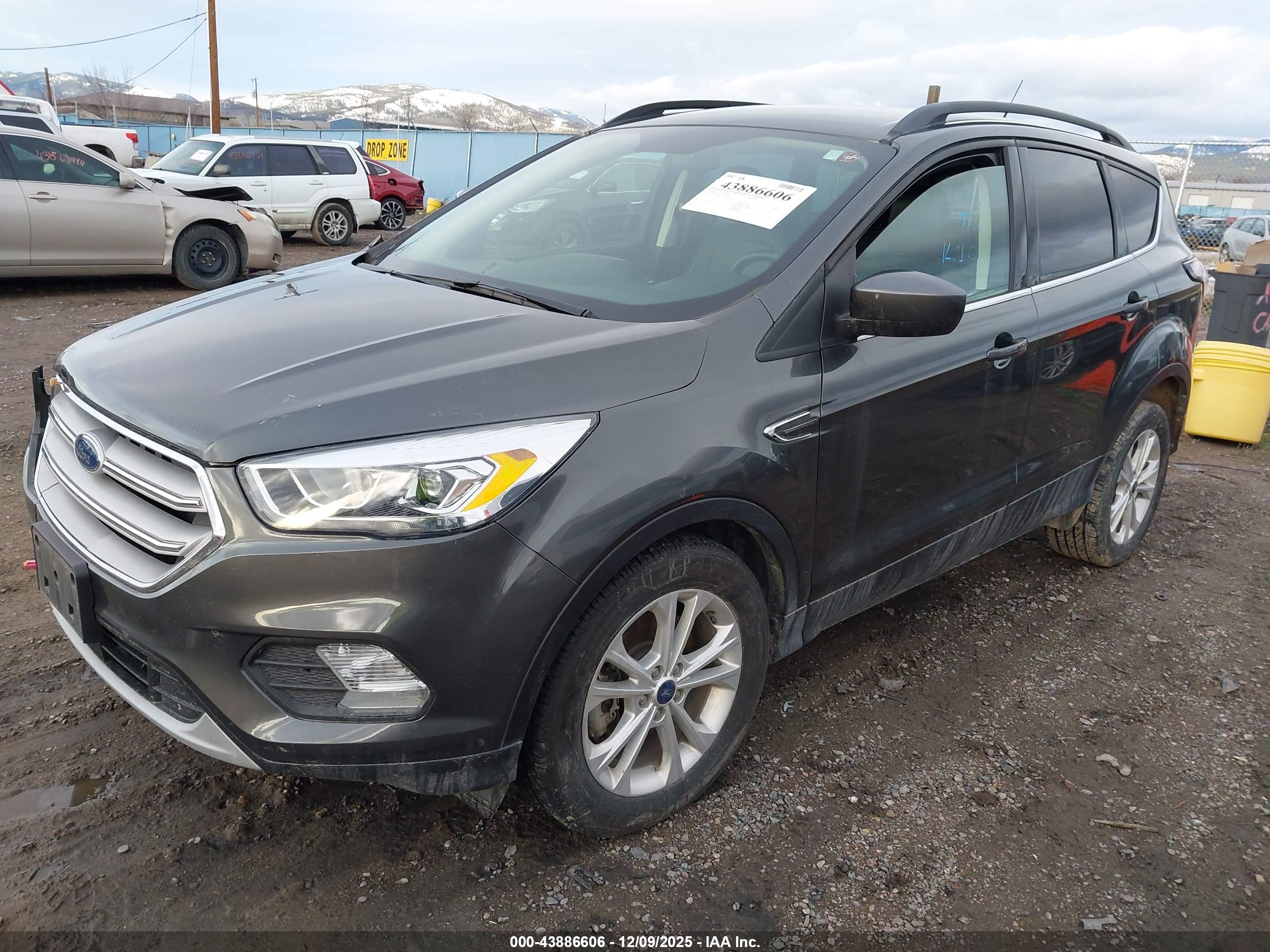 FORD ESCAPE image 2