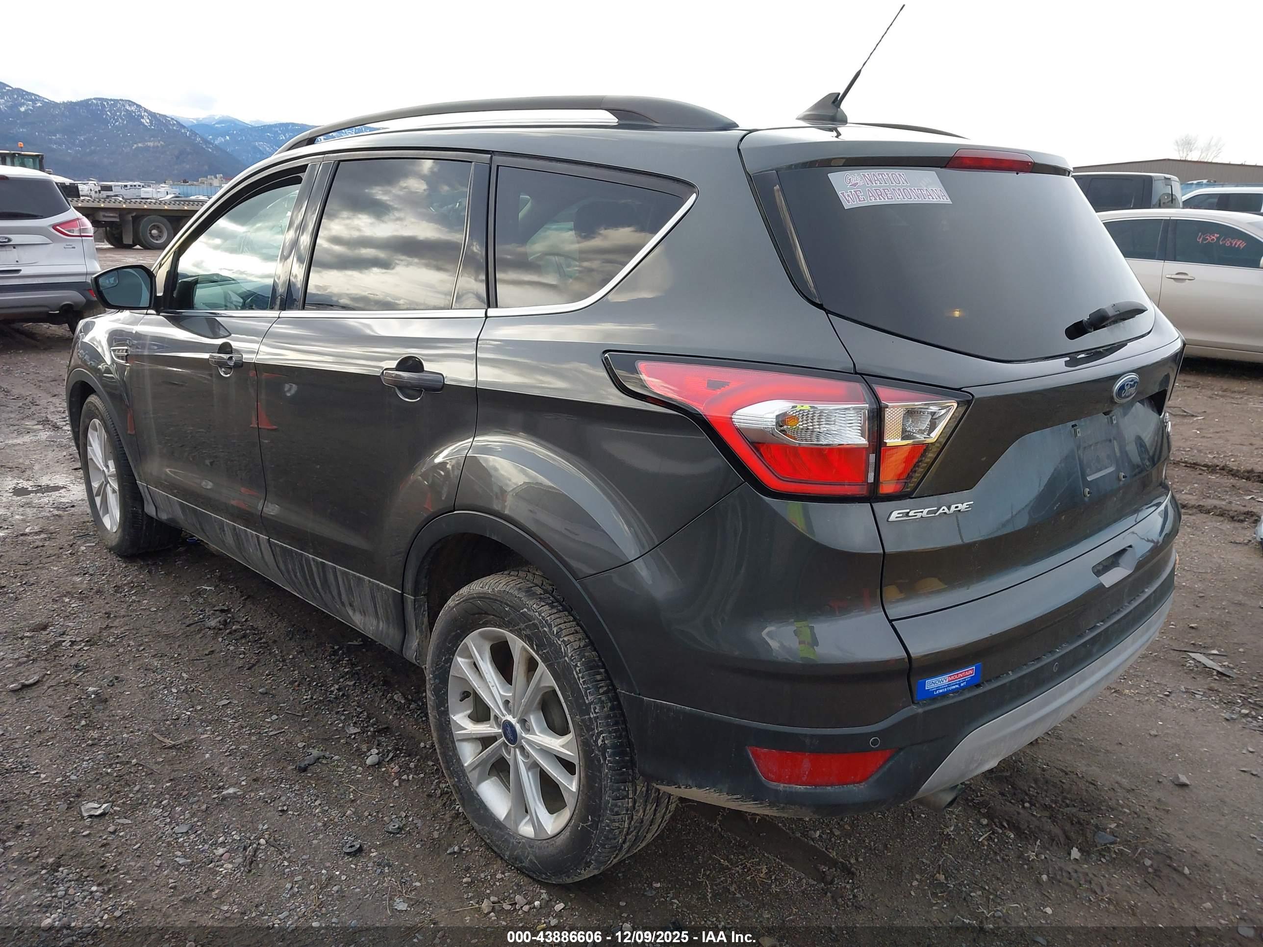FORD ESCAPE image 3