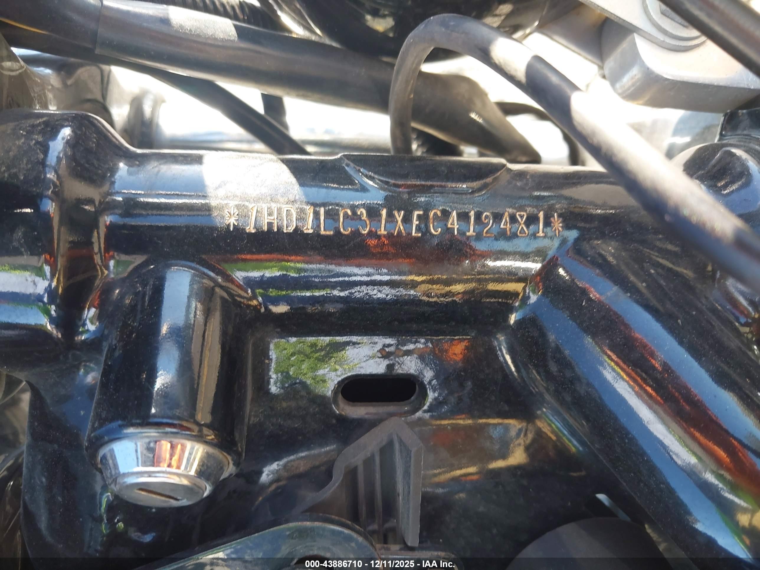 HARLEY-DAVIDSON XL1200 image 10