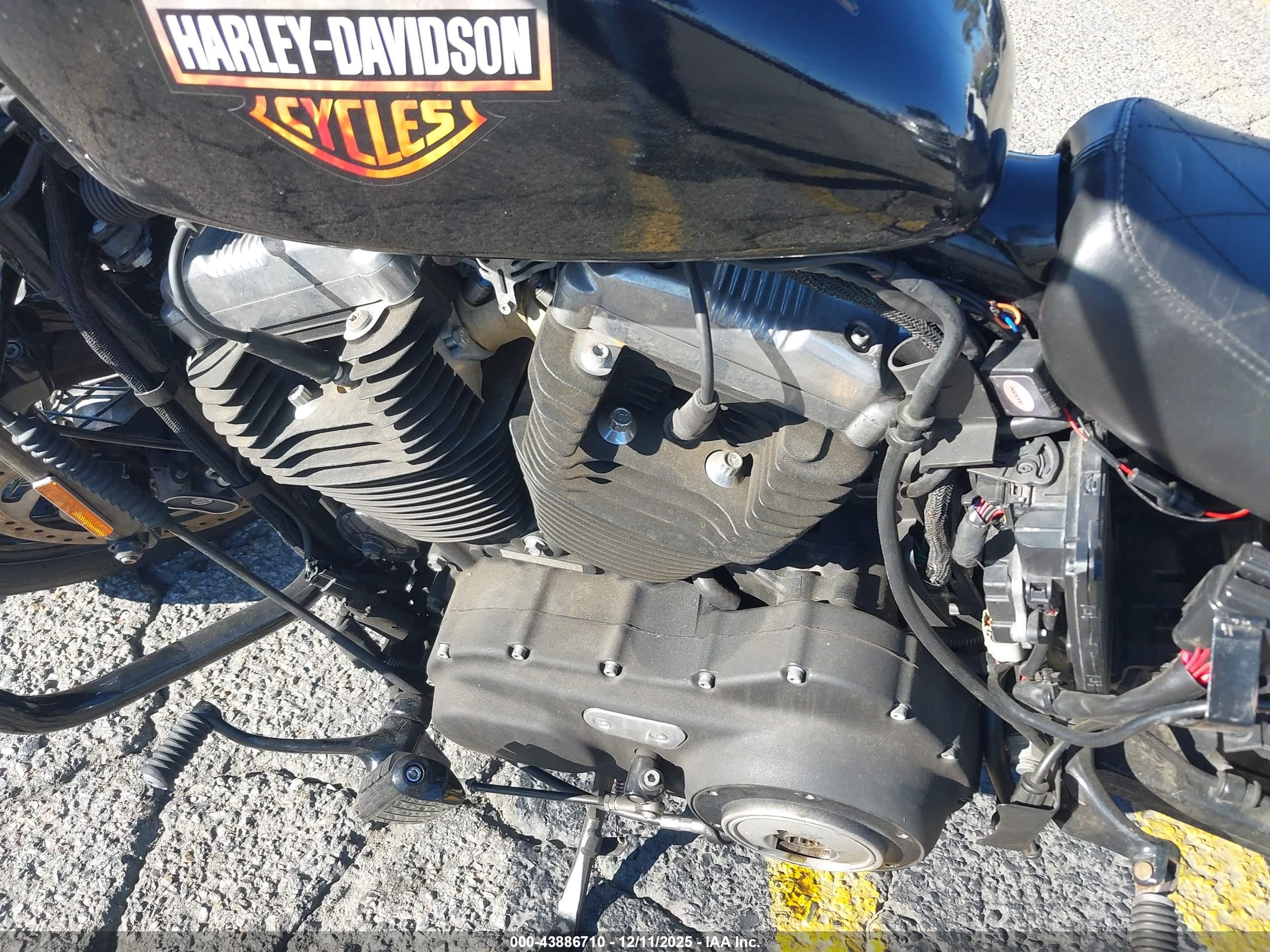 HARLEY-DAVIDSON XL1200 image 9