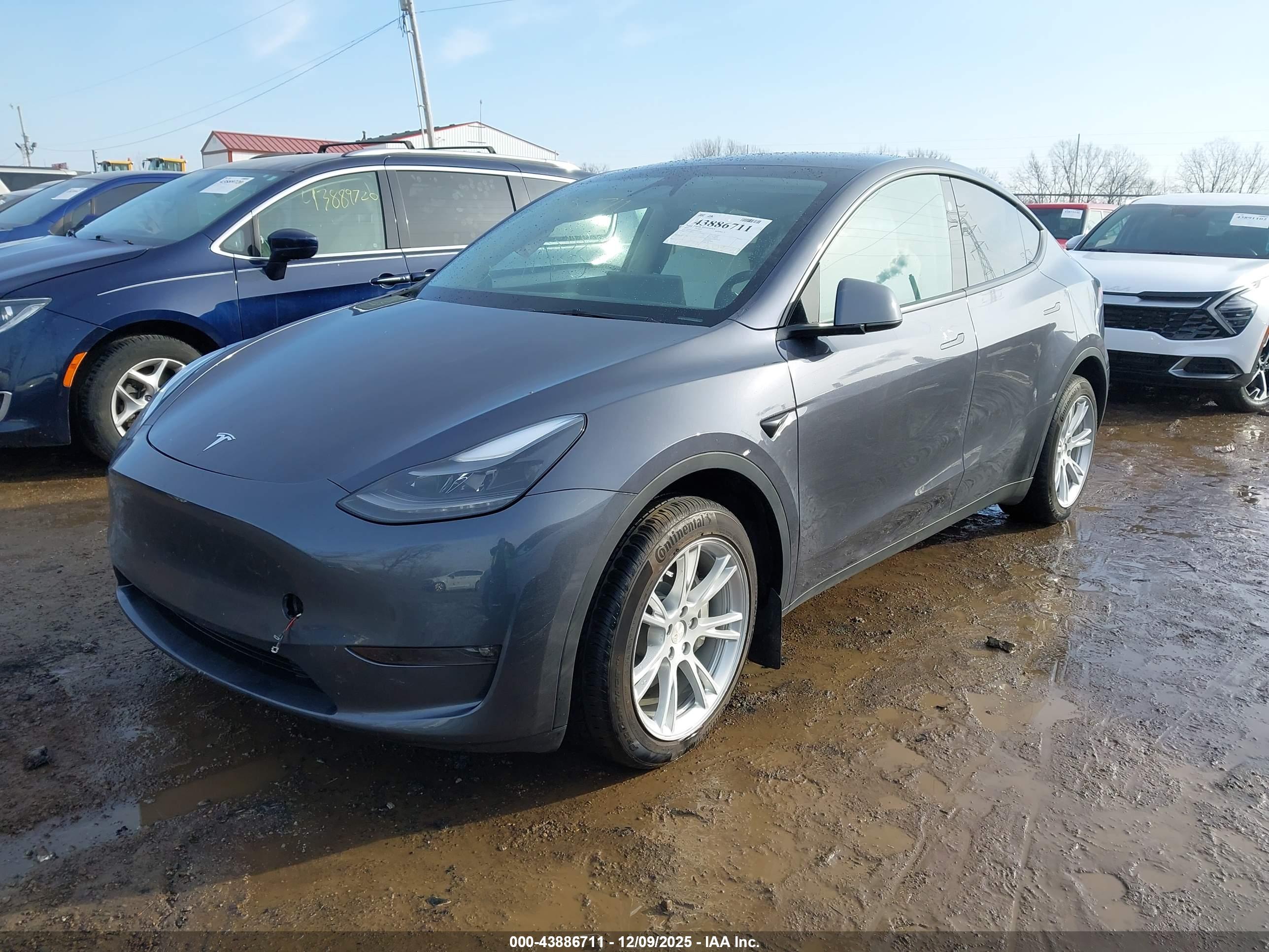 TESLA MODEL image 2
