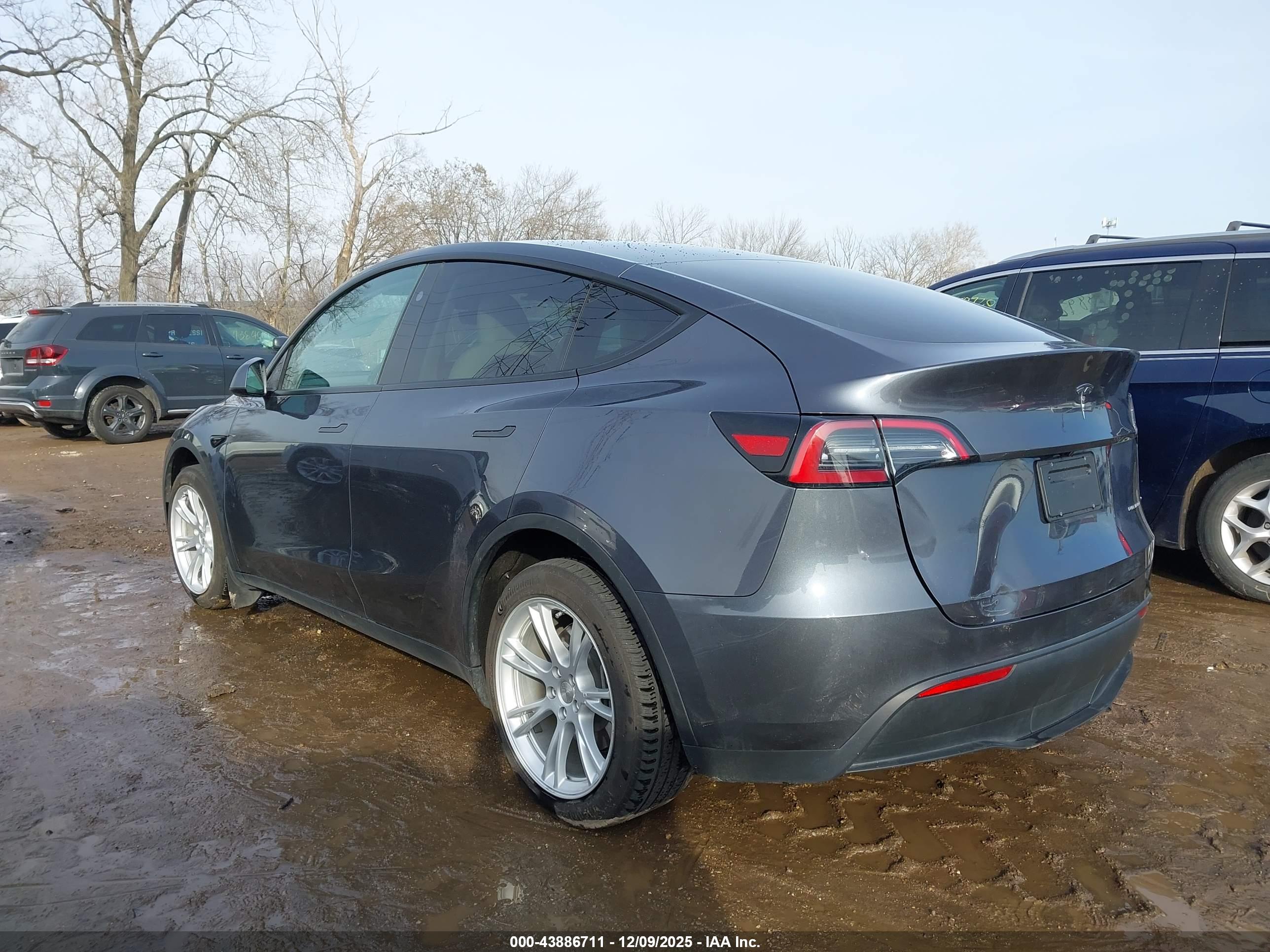 TESLA MODEL image 3