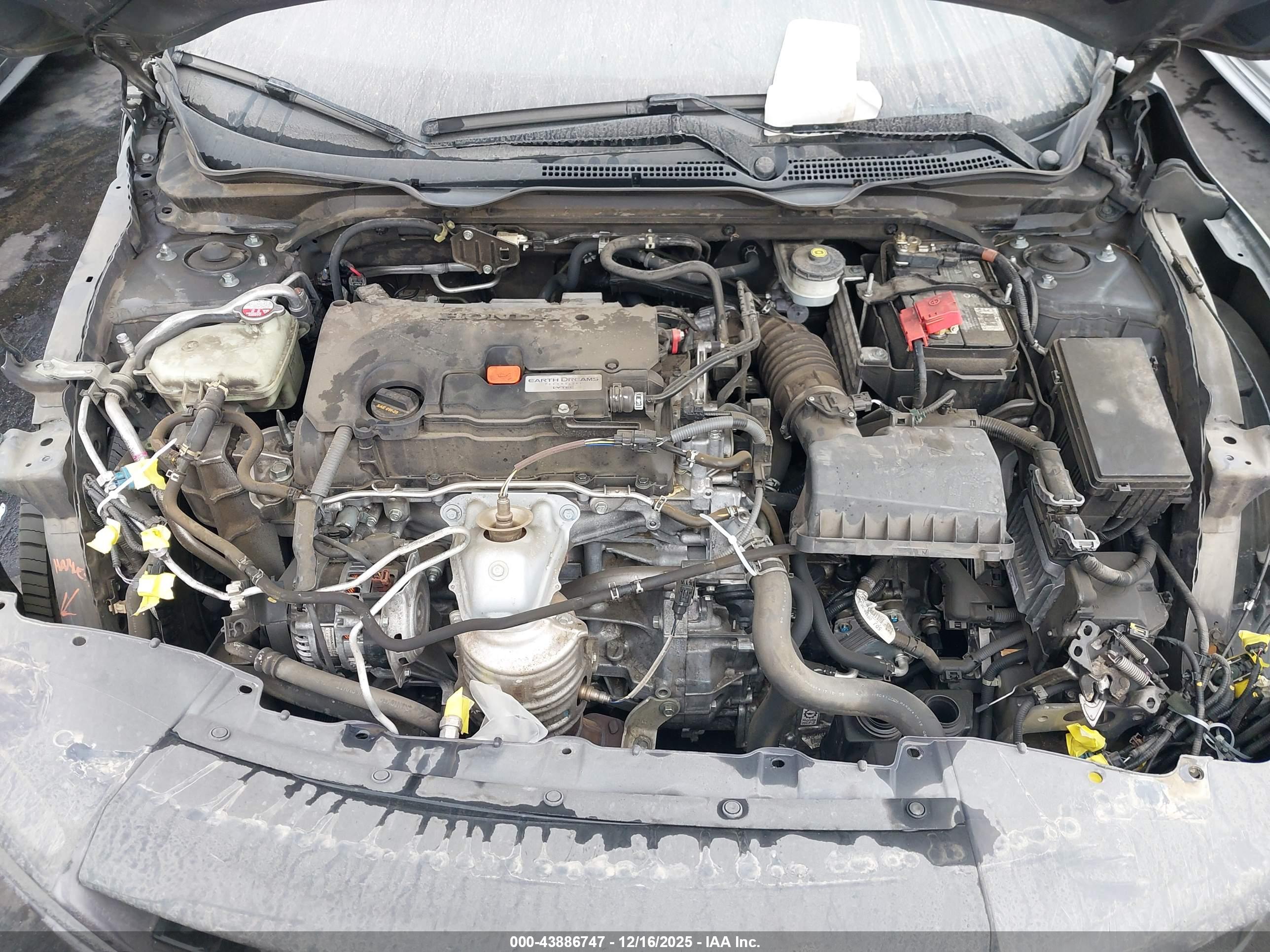 HONDA CIVIC image 10