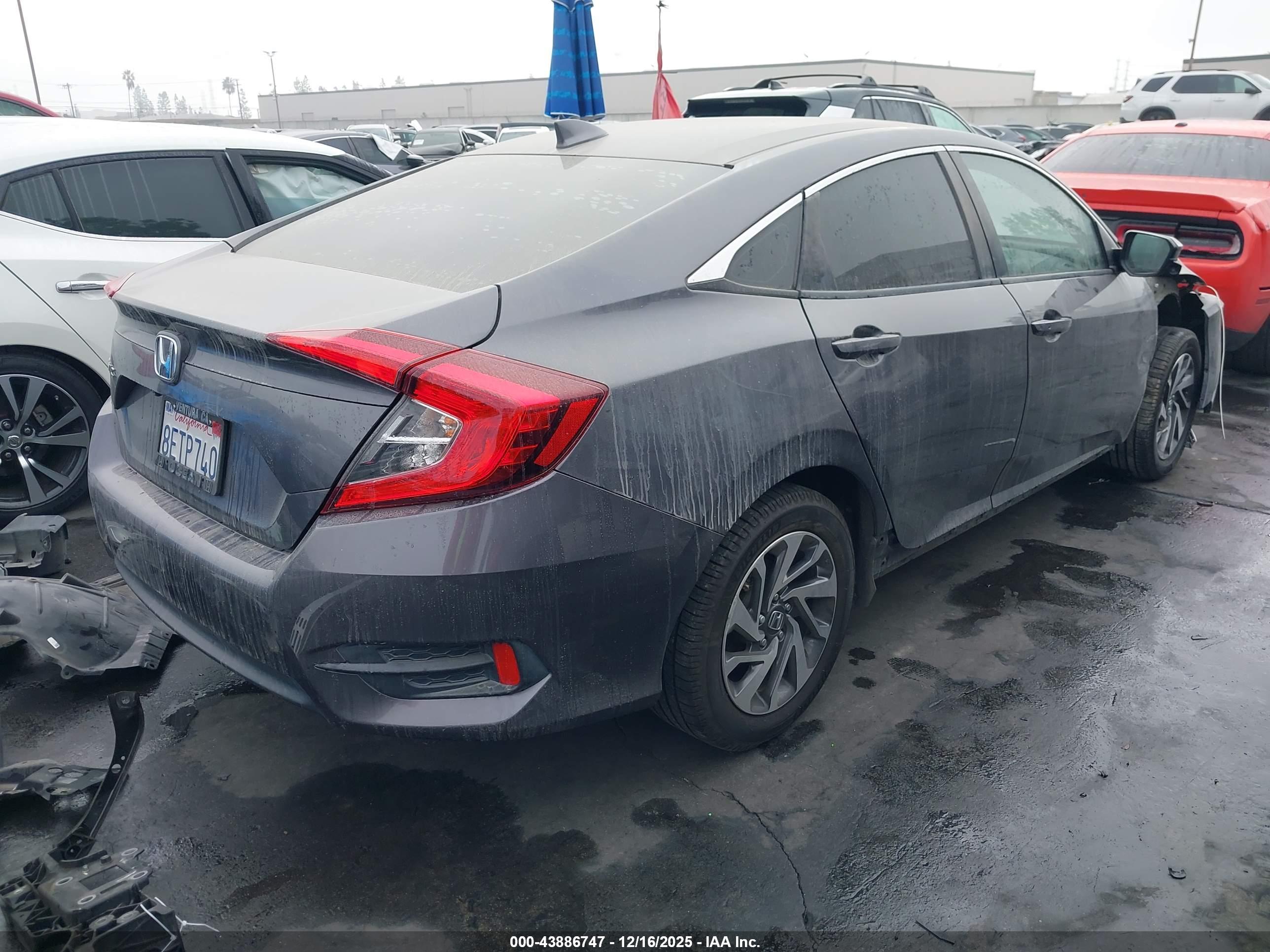 HONDA CIVIC image 4