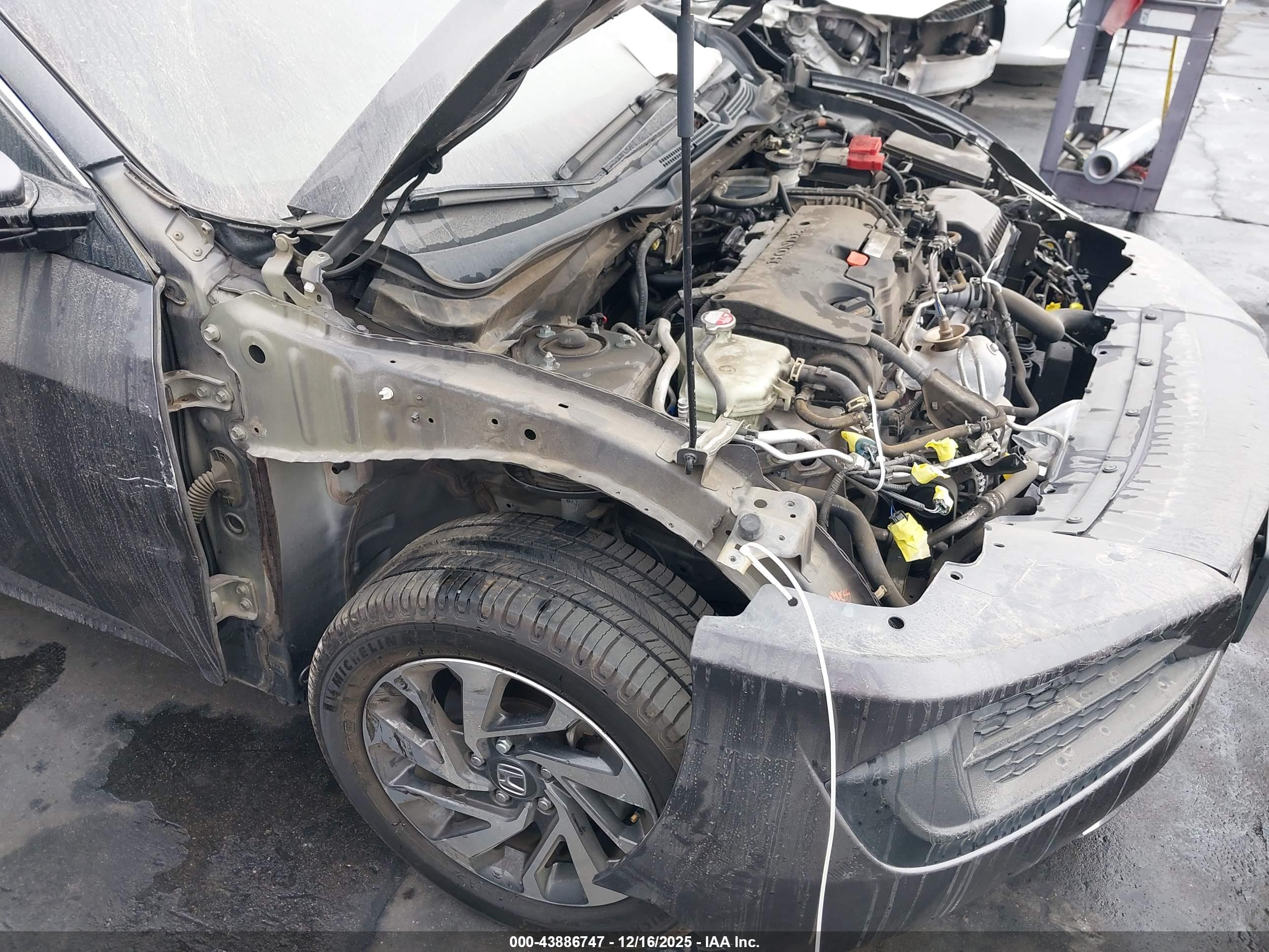 HONDA CIVIC image 6
