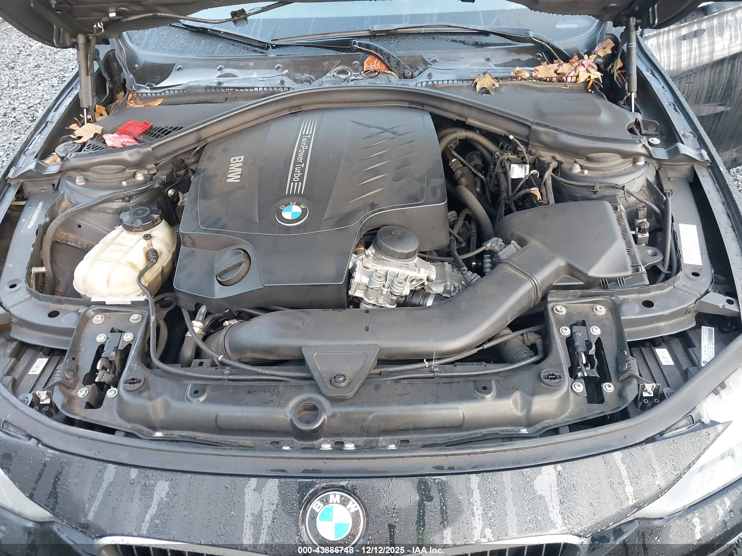 BMW 335I image 10