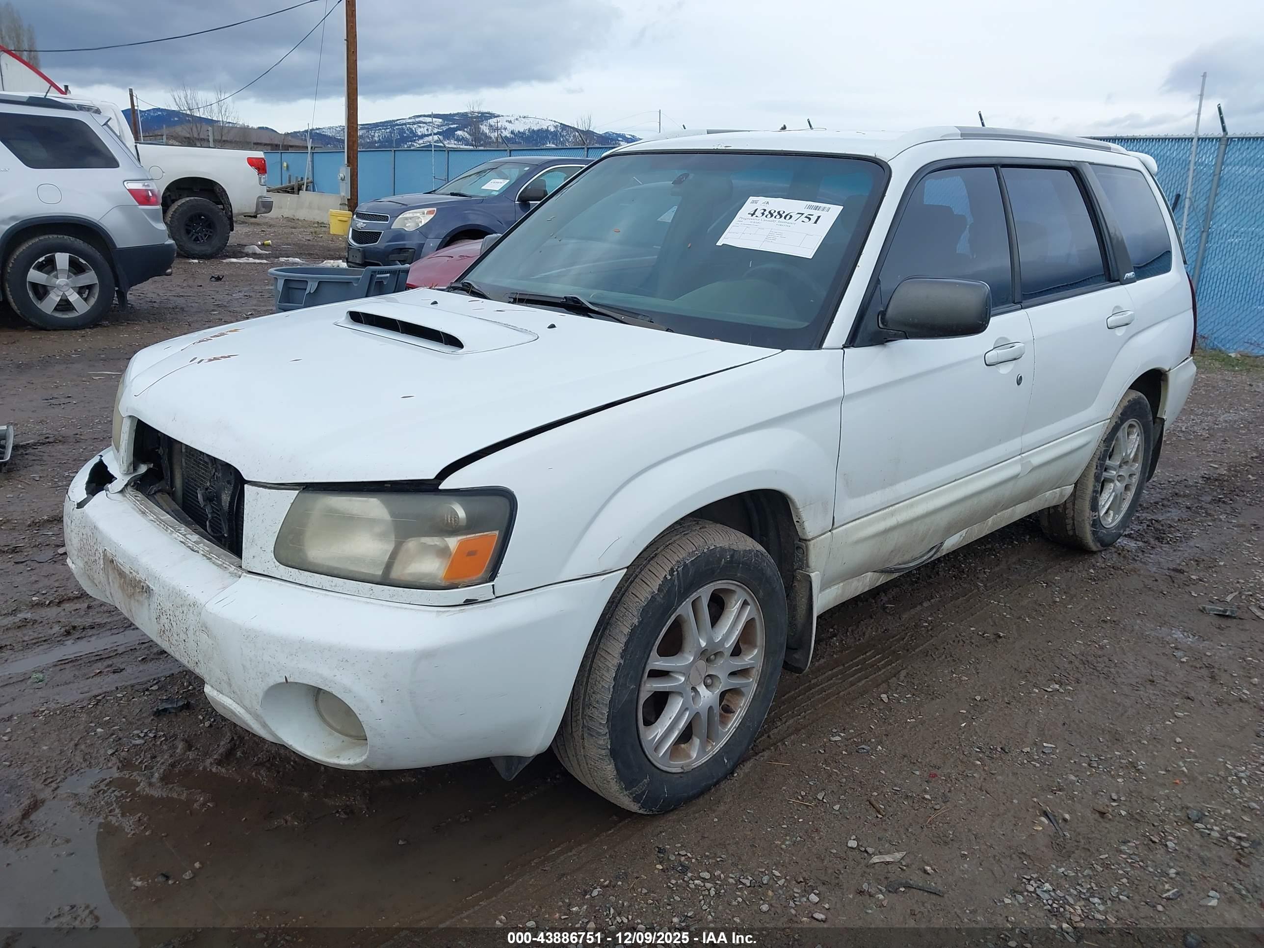 SUBARU FORESTER image 2
