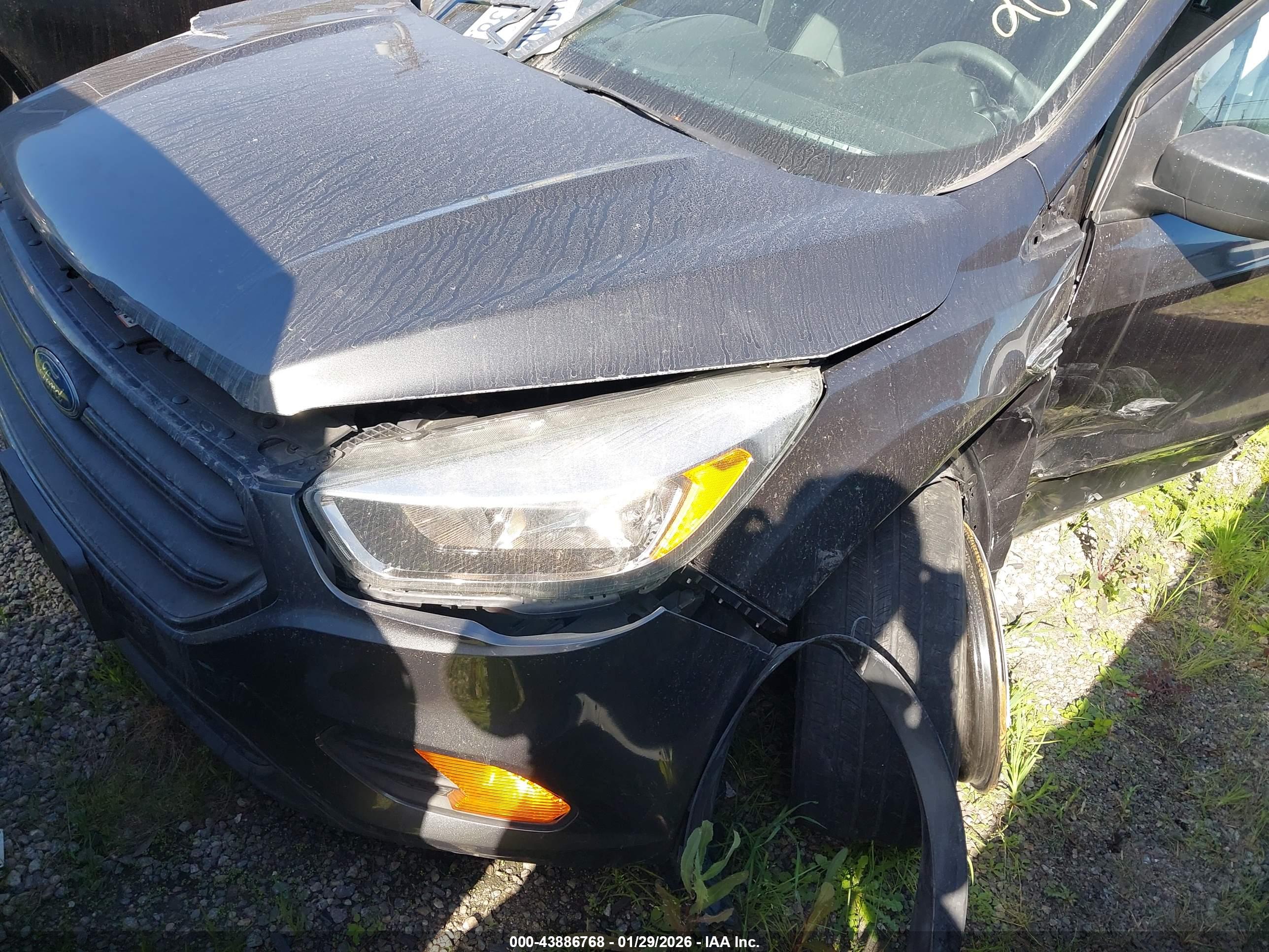 FORD ESCAPE image 2