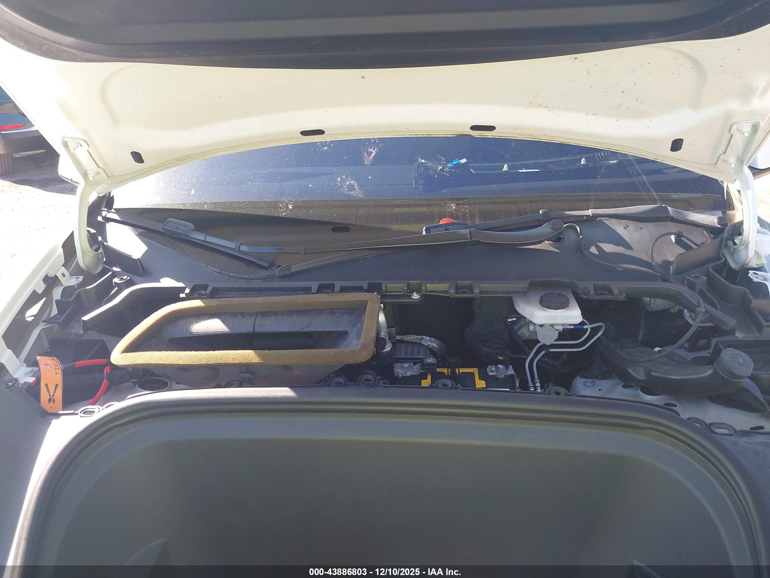 TESLA MODEL image 10