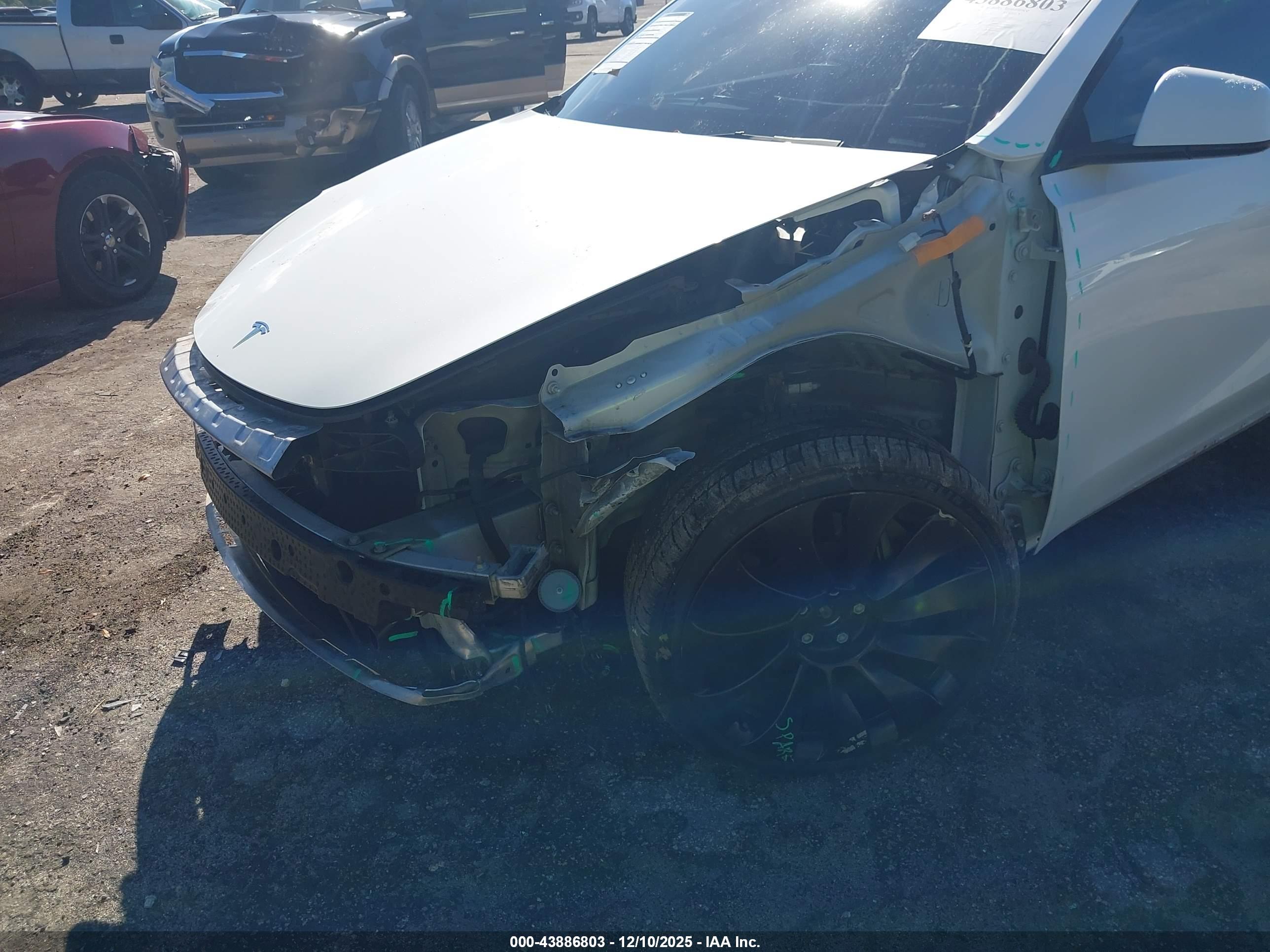 TESLA MODEL image 6