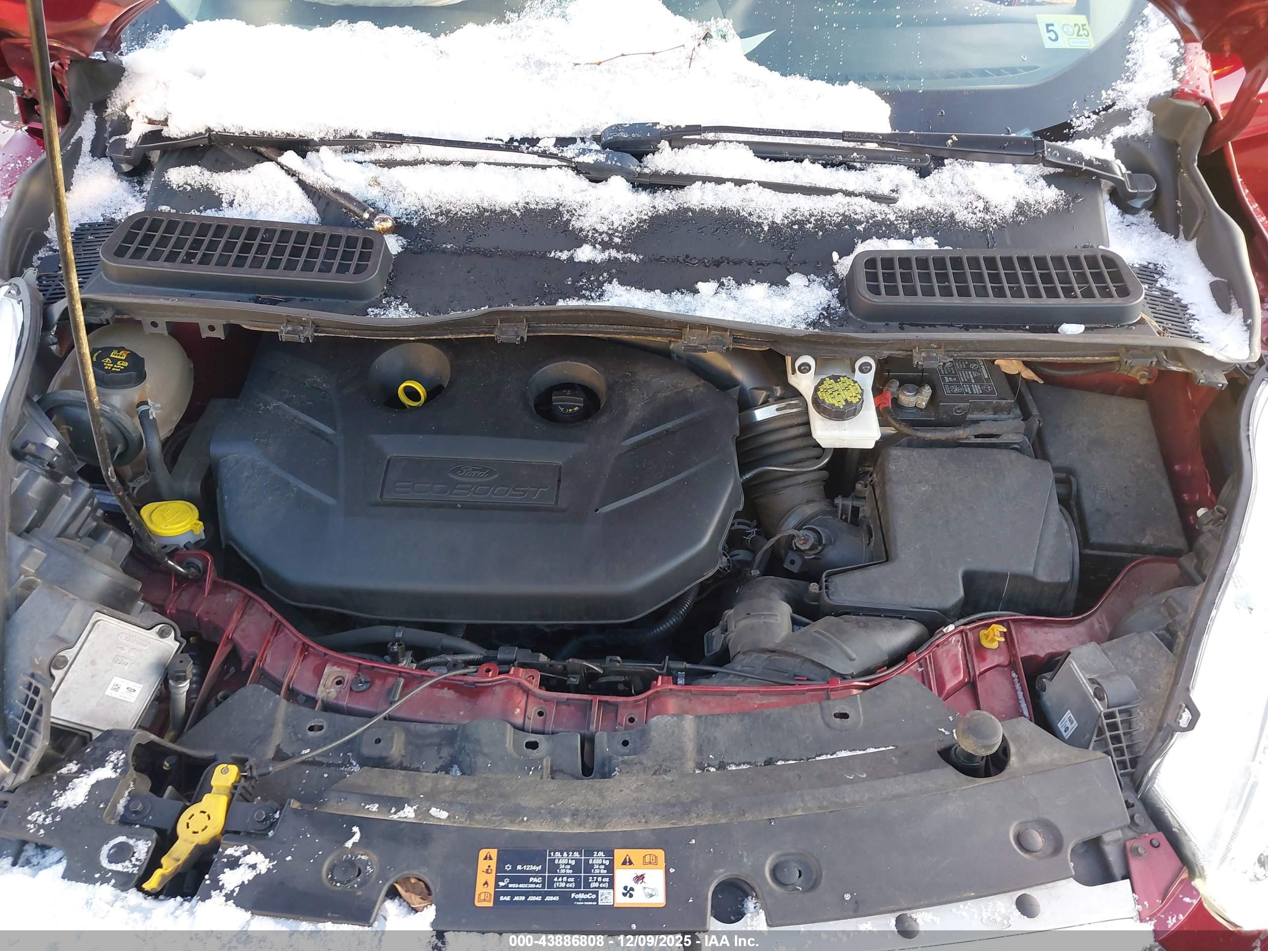 FORD ESCAPE image 10