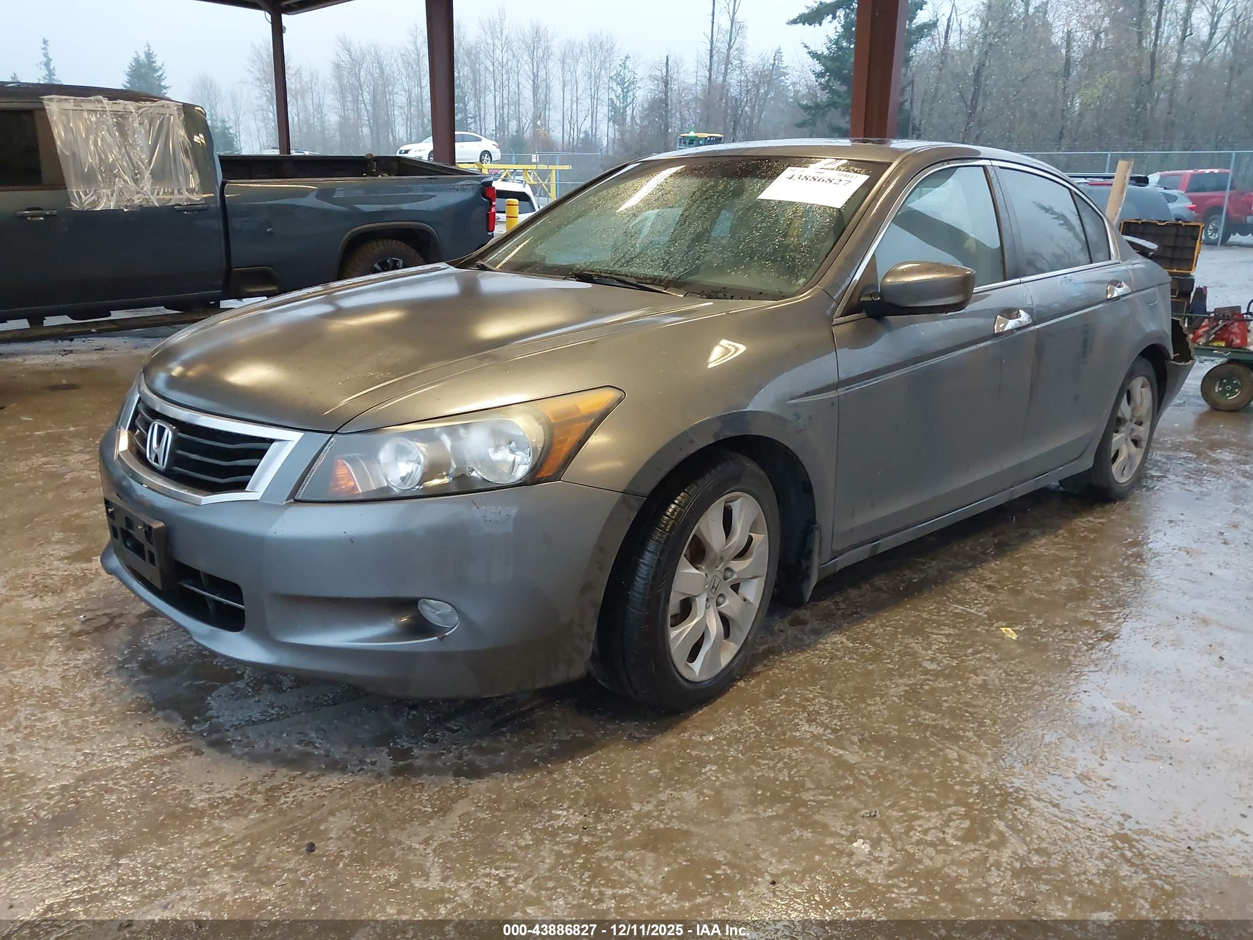 HONDA ACCORD image 2