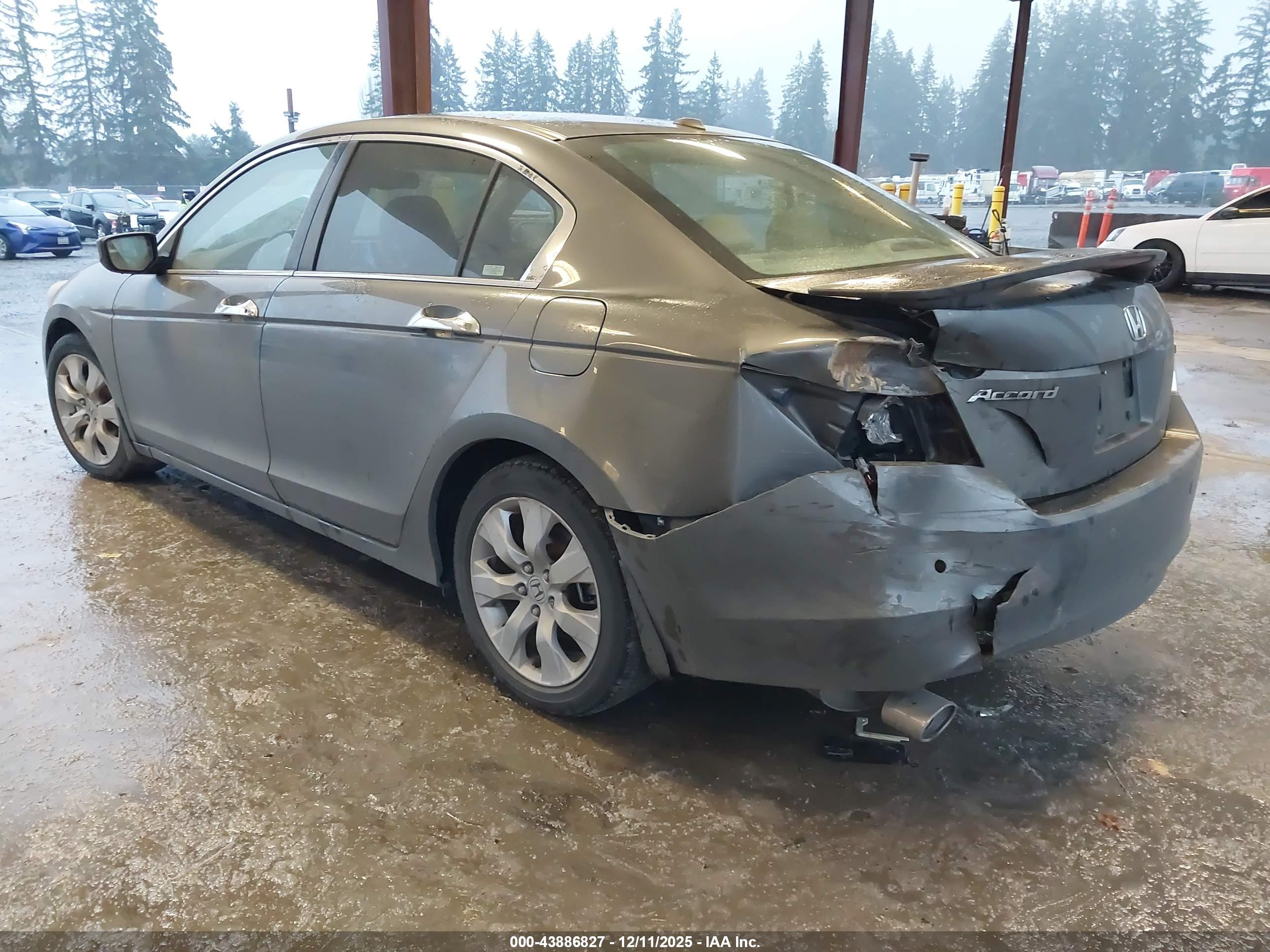 HONDA ACCORD image 3