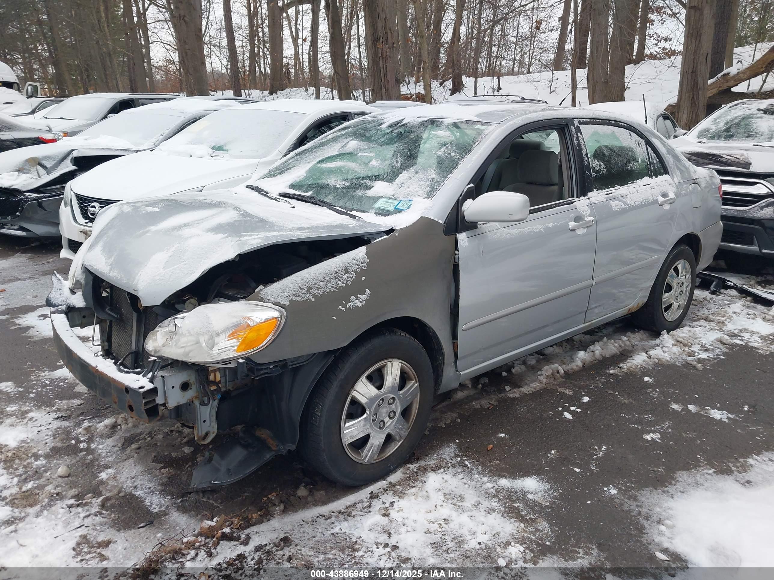 TOYOTA COROLLA image 2