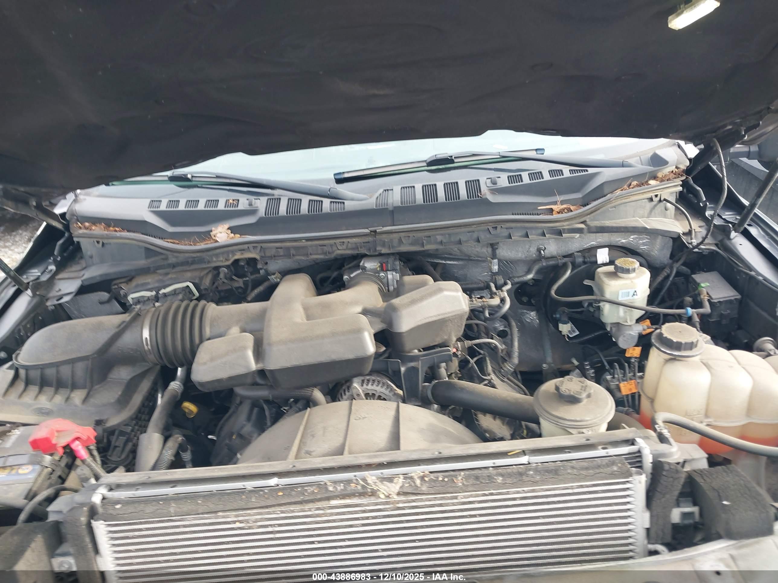 FORD F-250 image 10