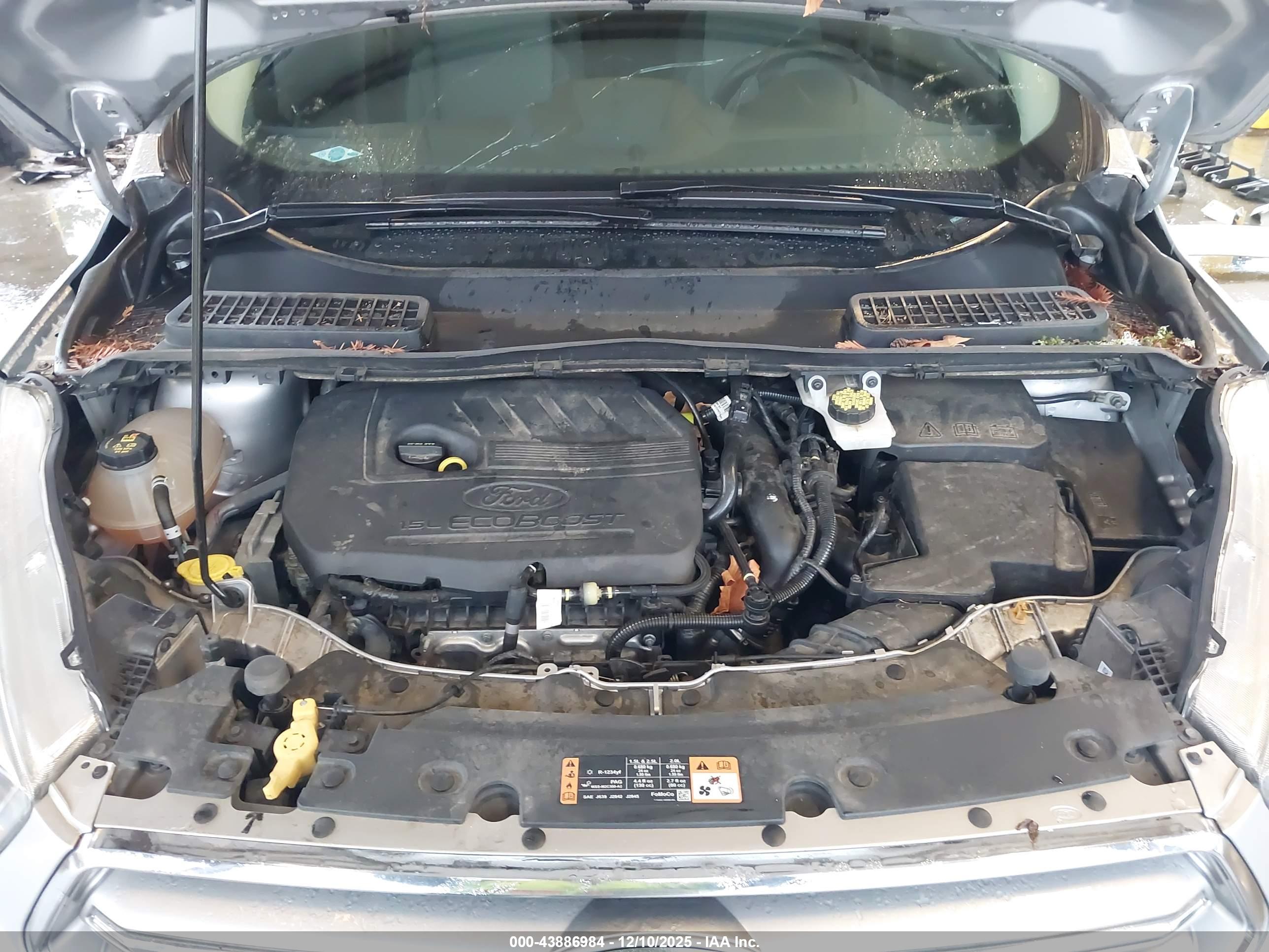 FORD ESCAPE image 10