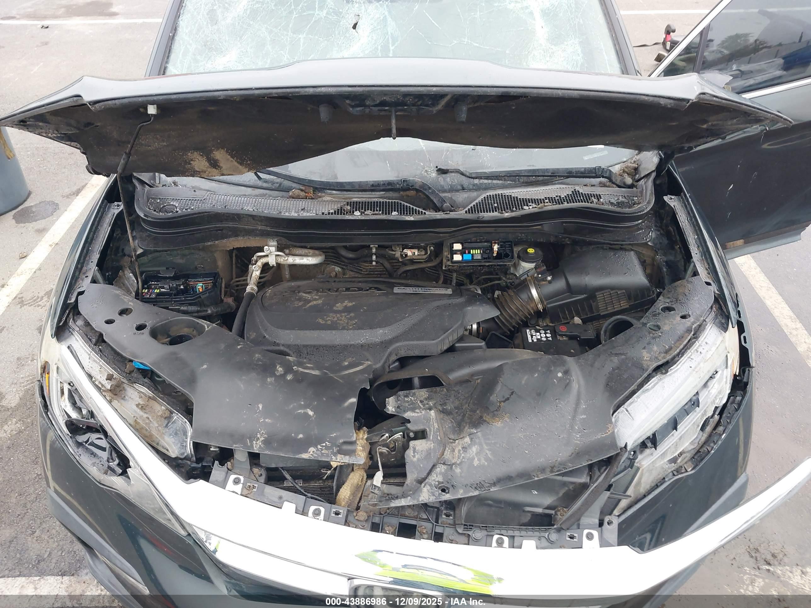 HONDA PILOT image 10