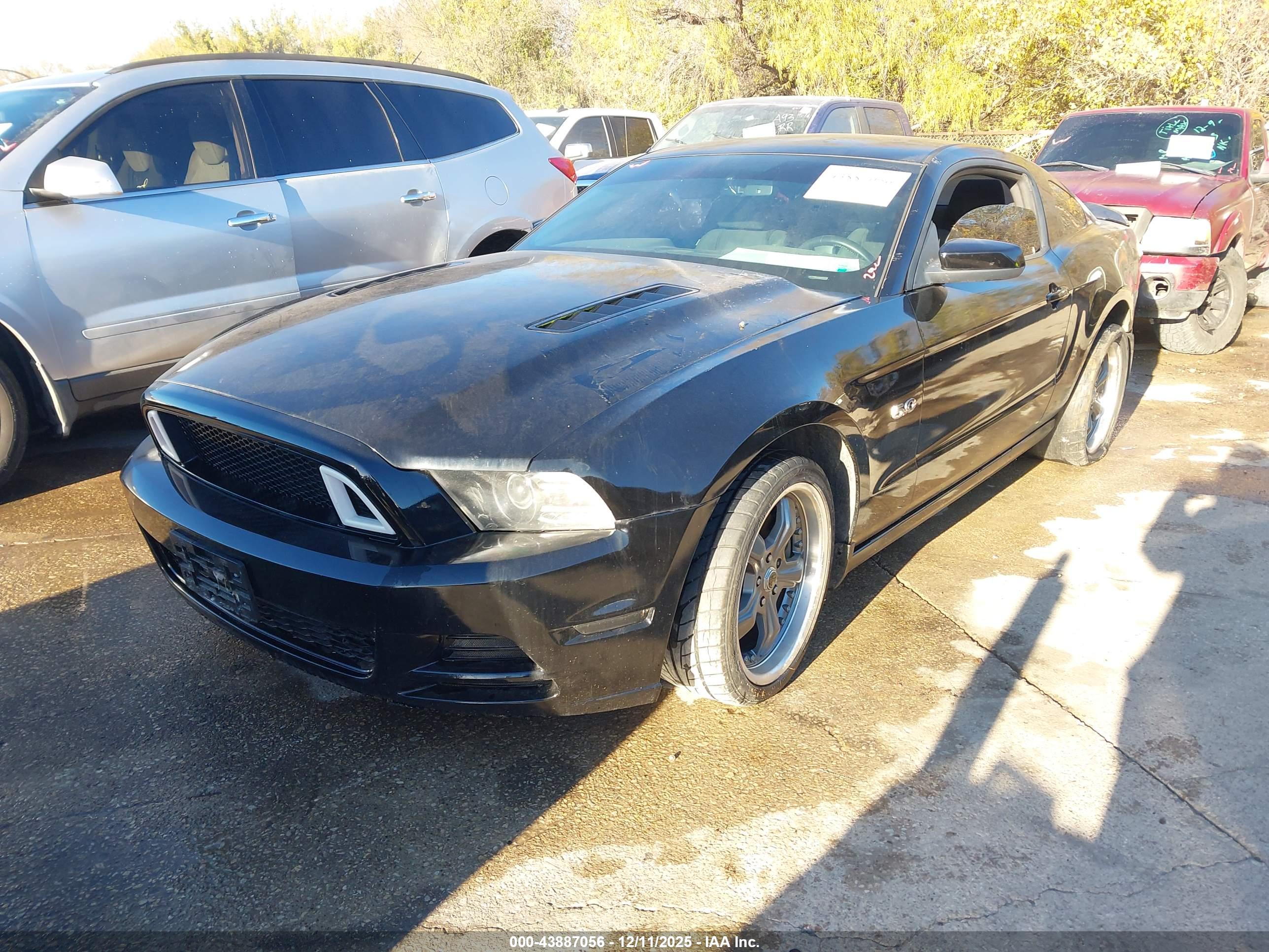 FORD MUSTANG image 2