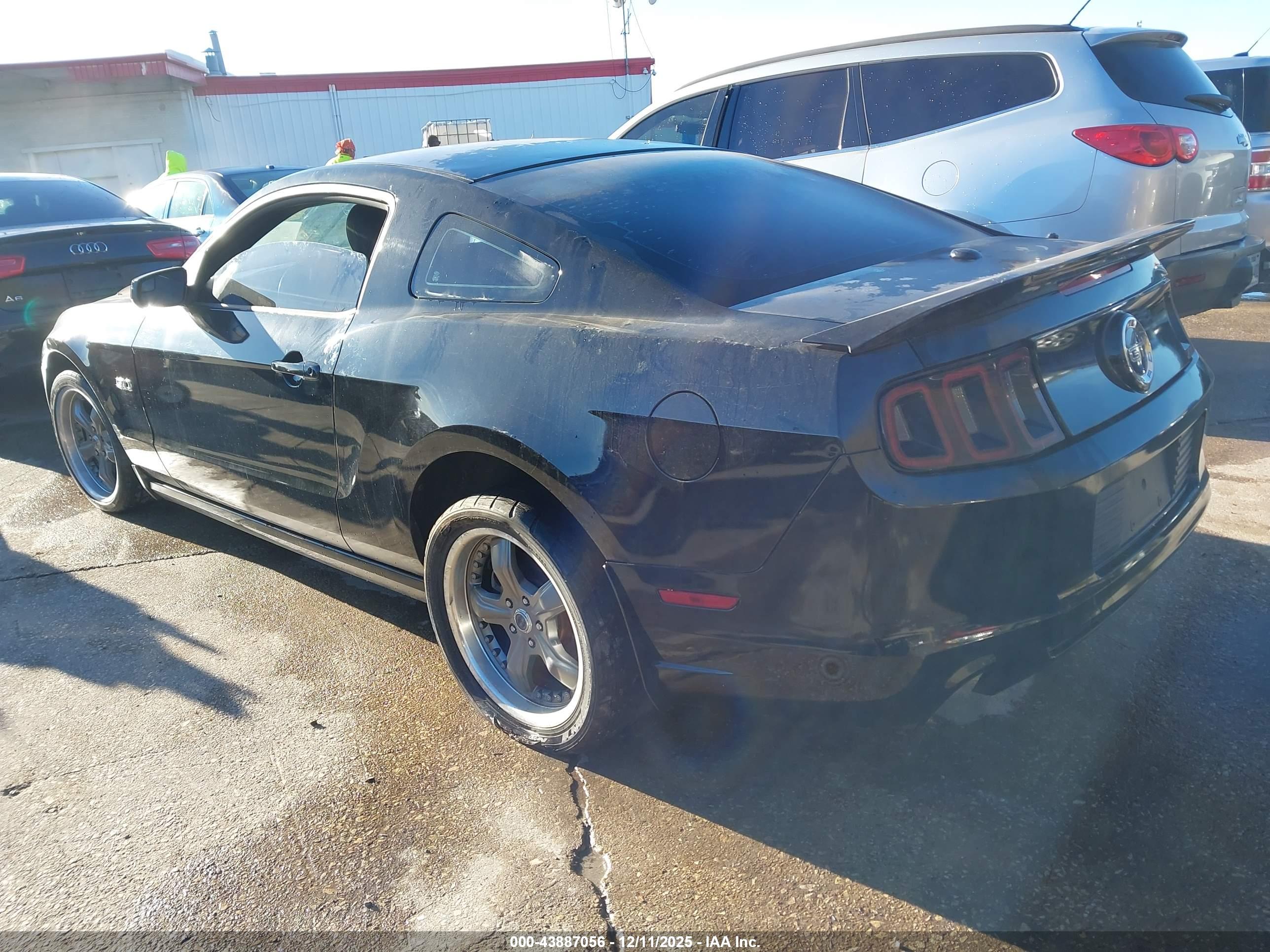 FORD MUSTANG image 3