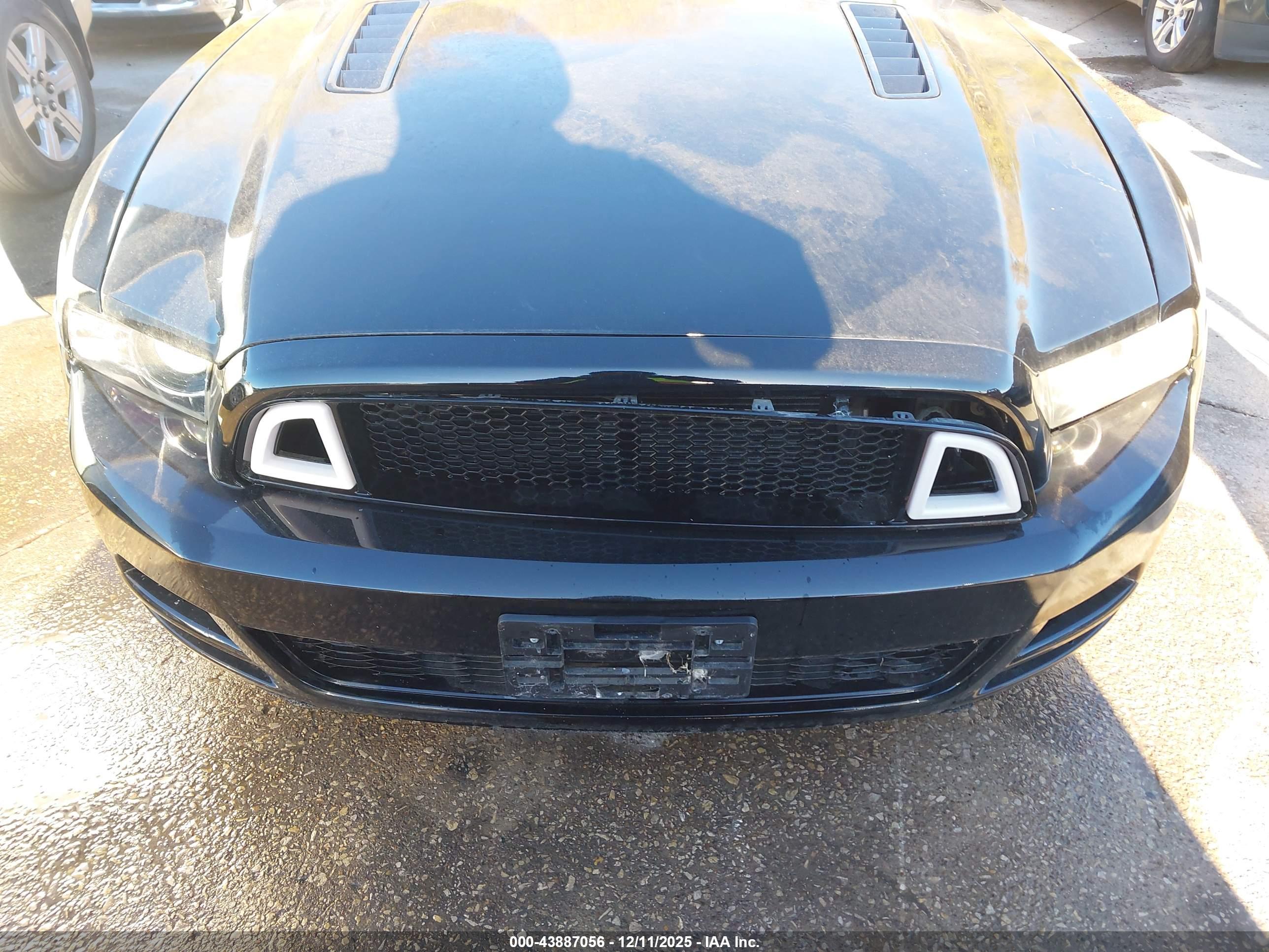 FORD MUSTANG image 6