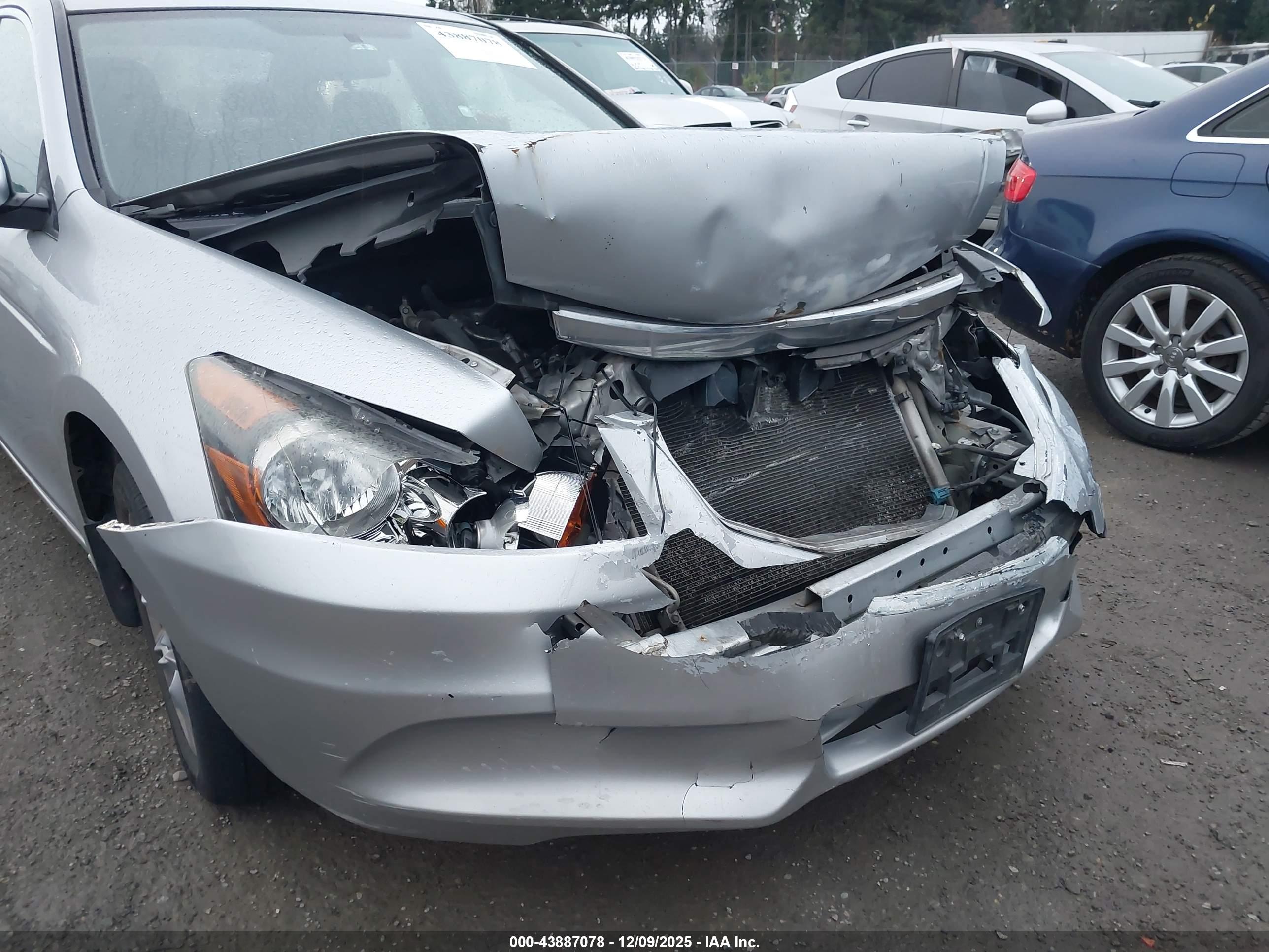 HONDA ACCORD image 6