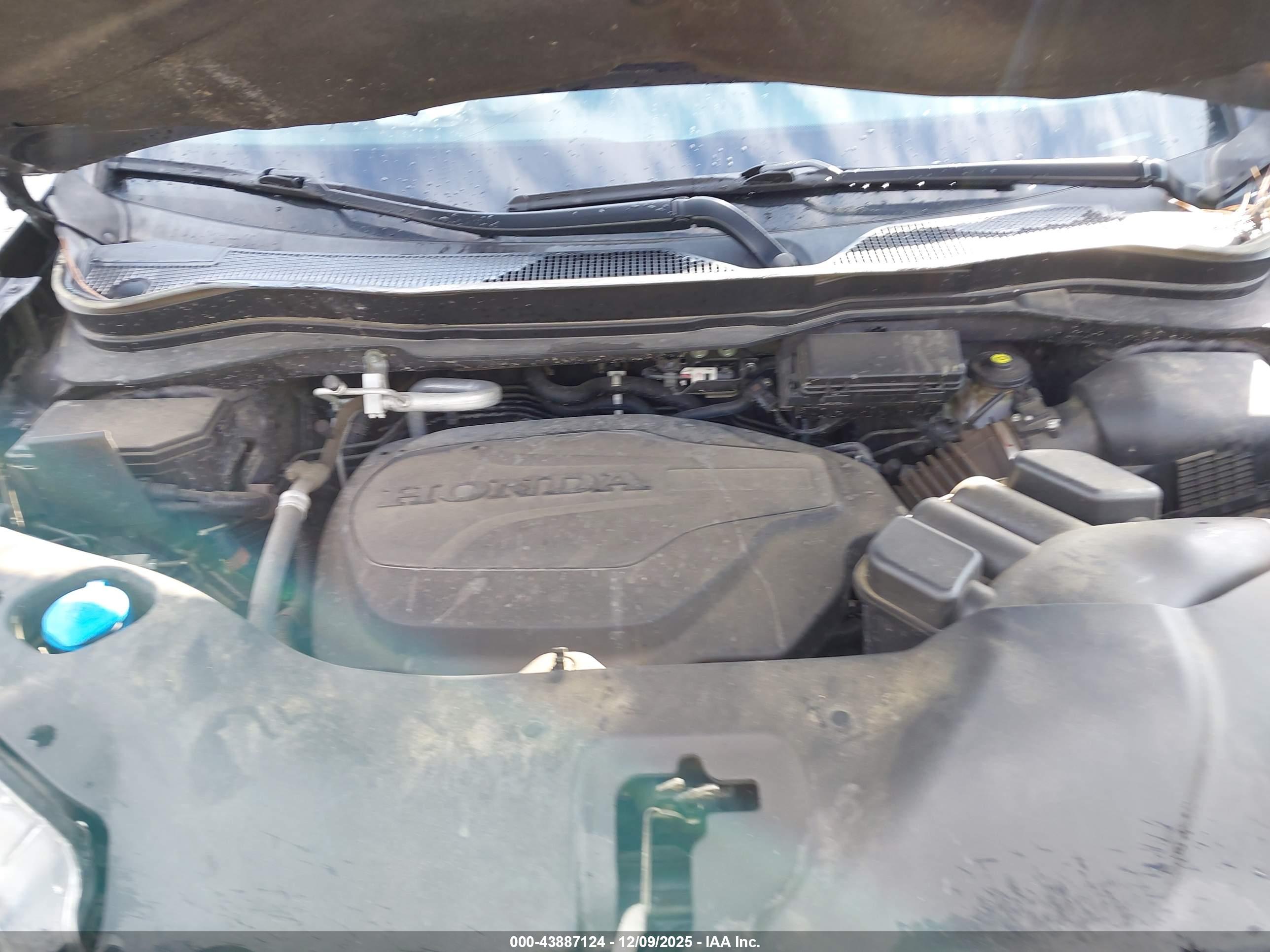 HONDA PASSPORT image 10