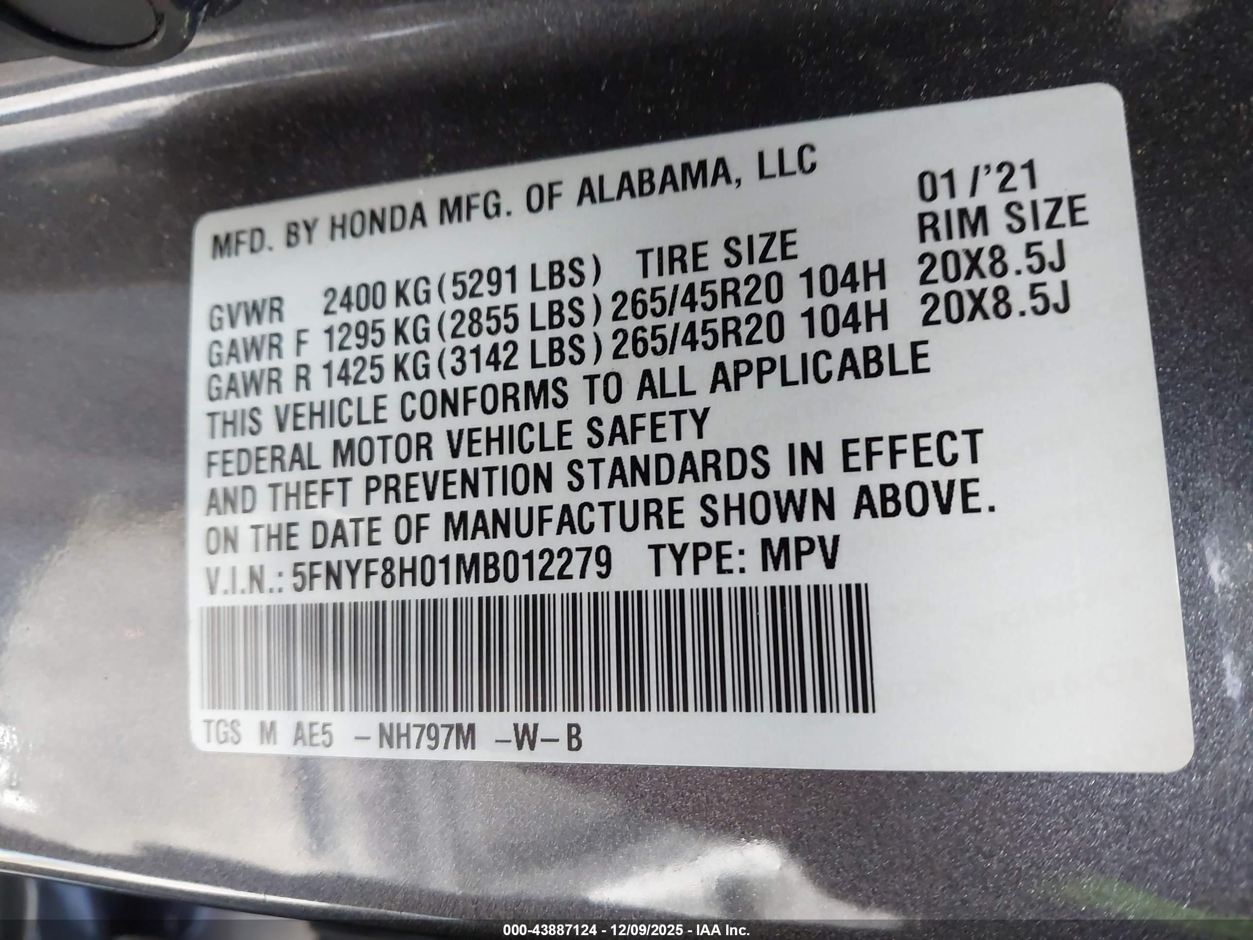 HONDA PASSPORT image 9