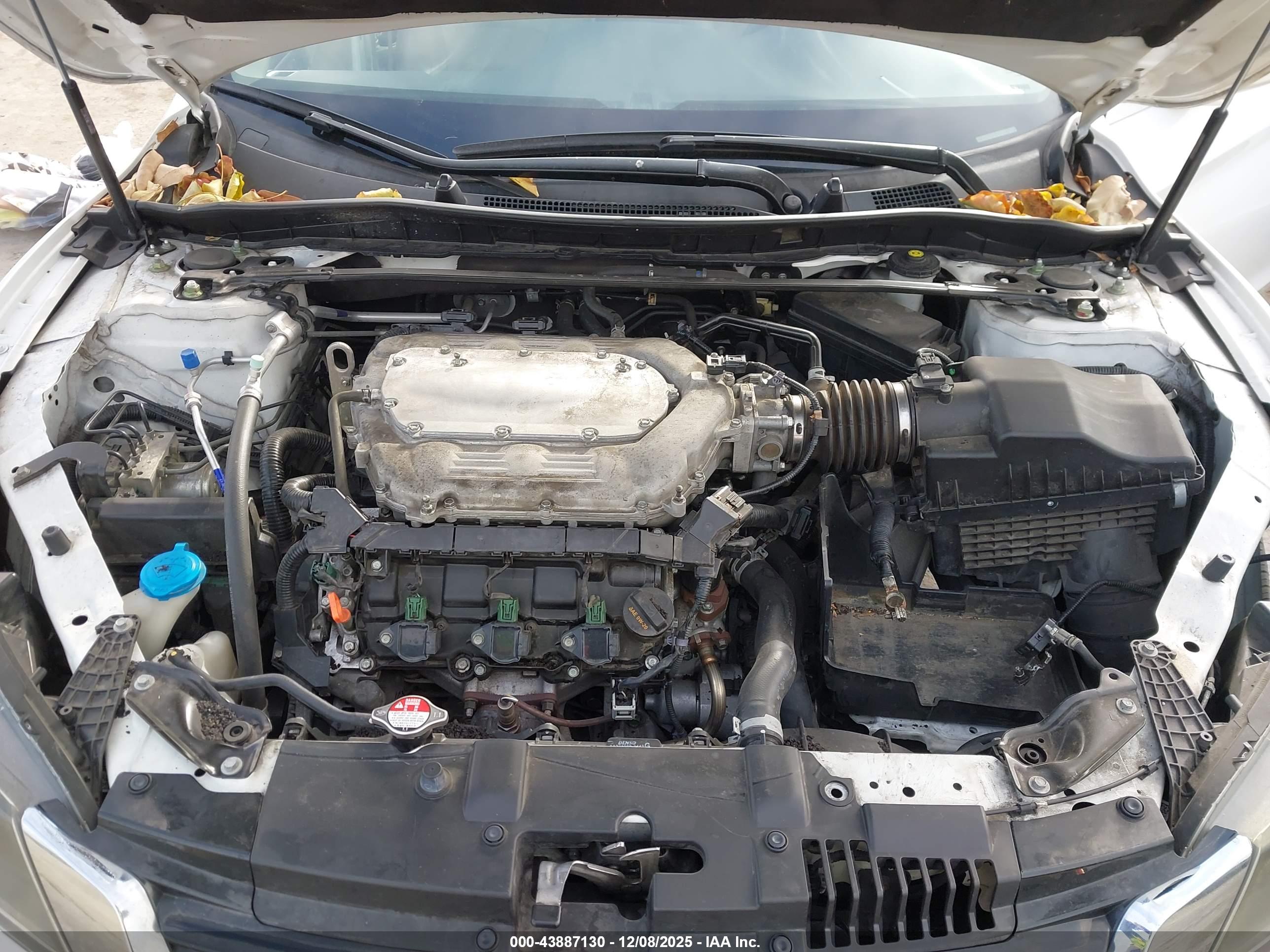 HONDA ACCORD image 10
