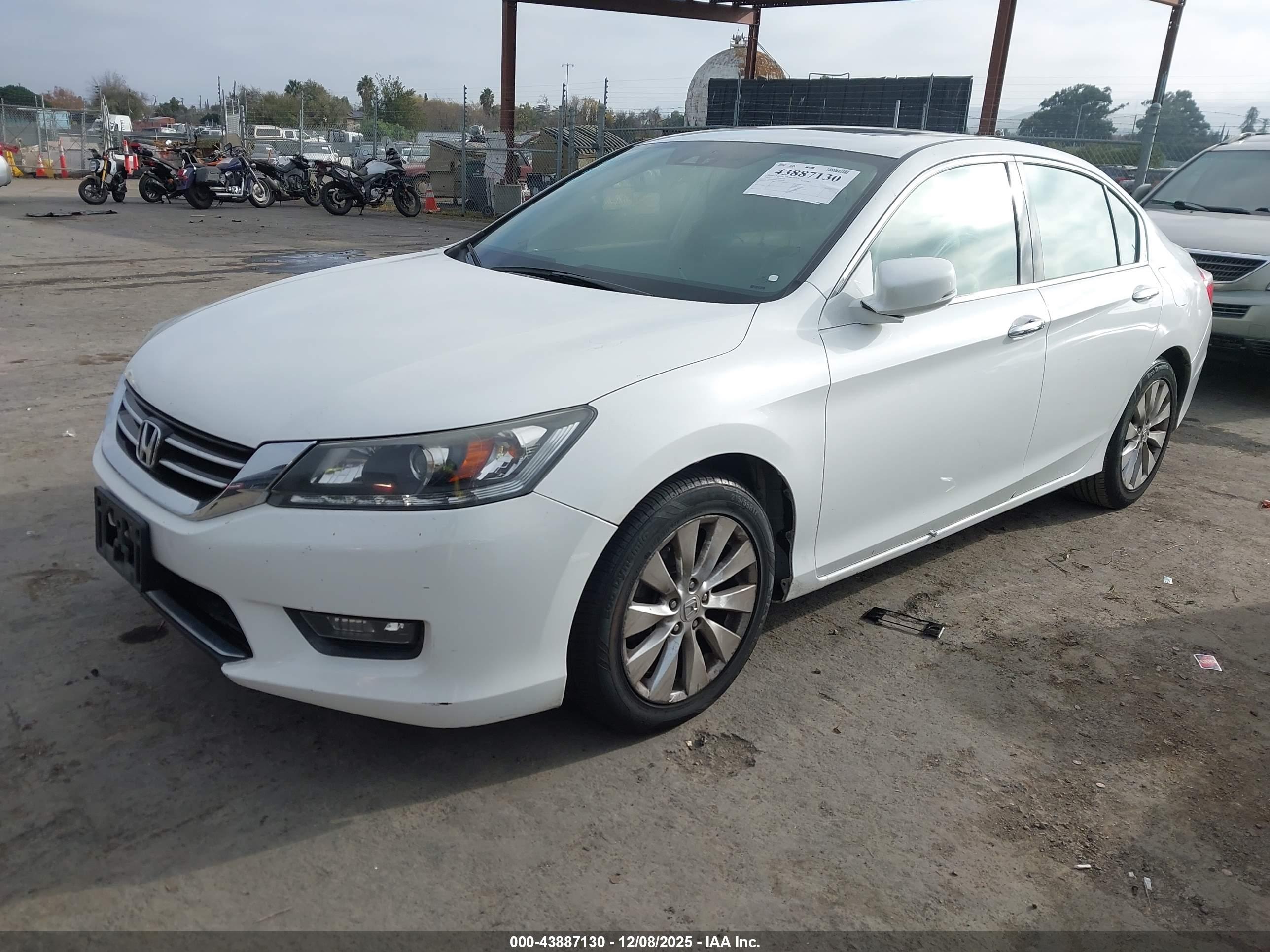 HONDA ACCORD image 2