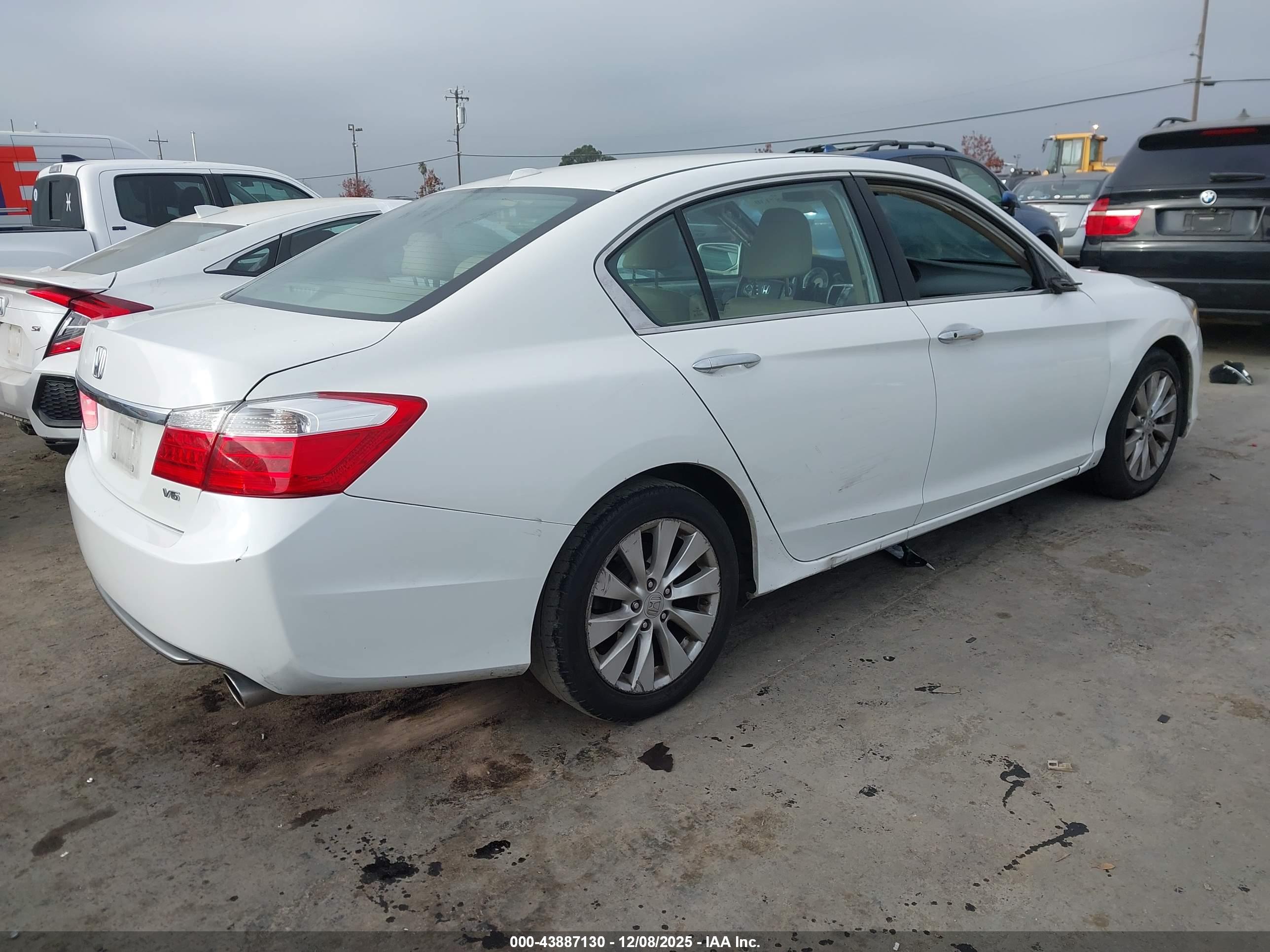 HONDA ACCORD image 4