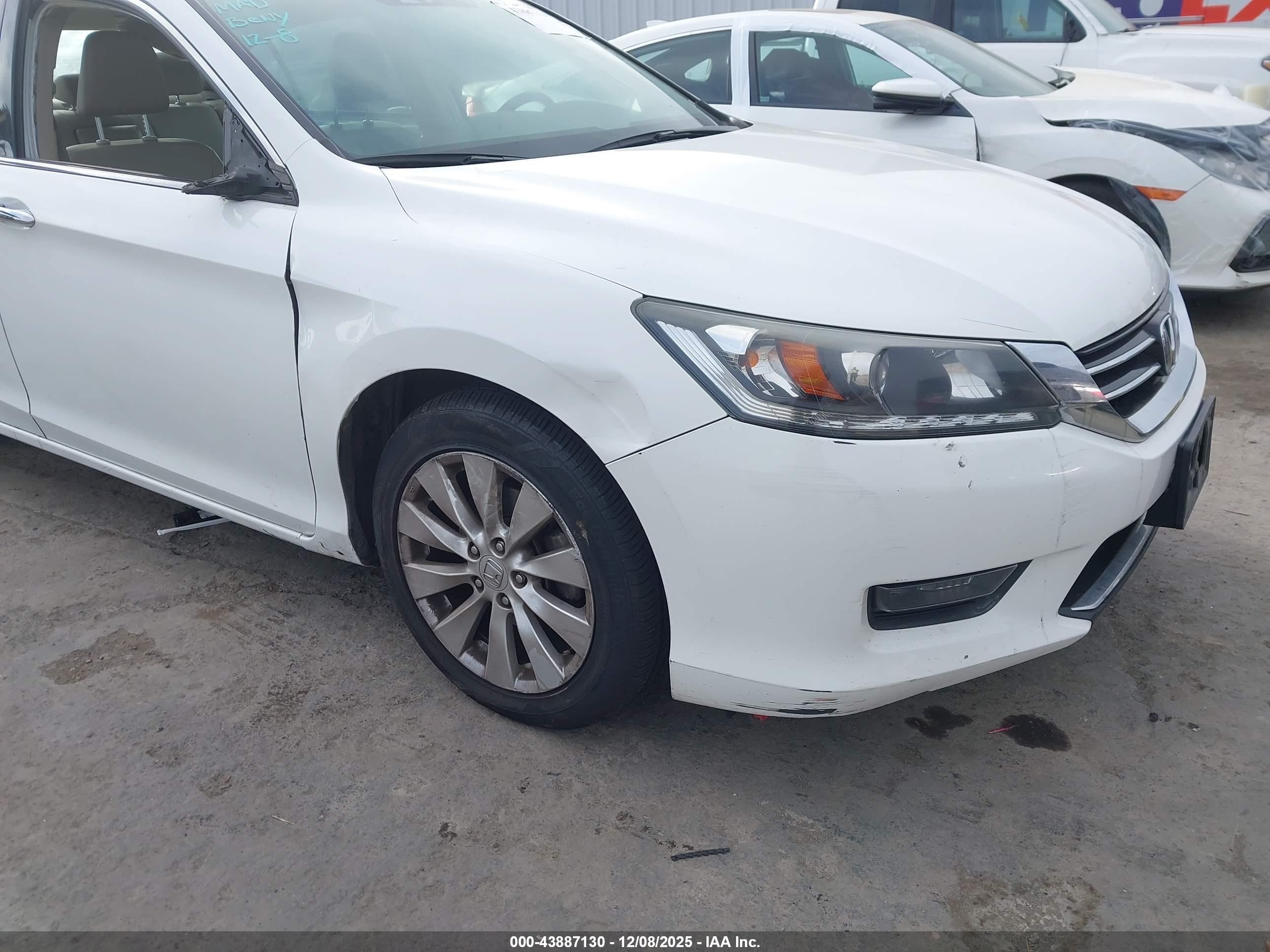 HONDA ACCORD image 6