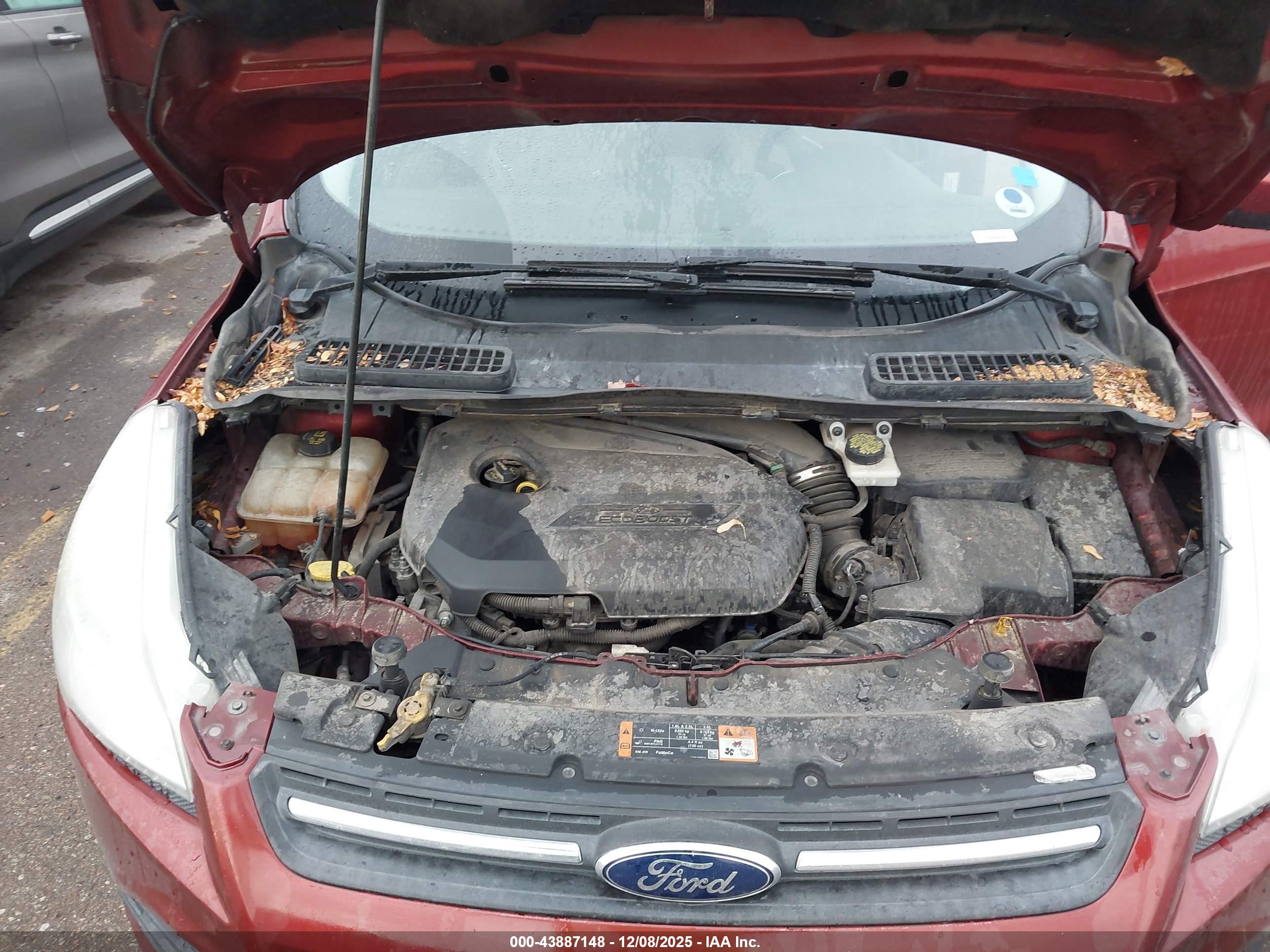 FORD ESCAPE image 10