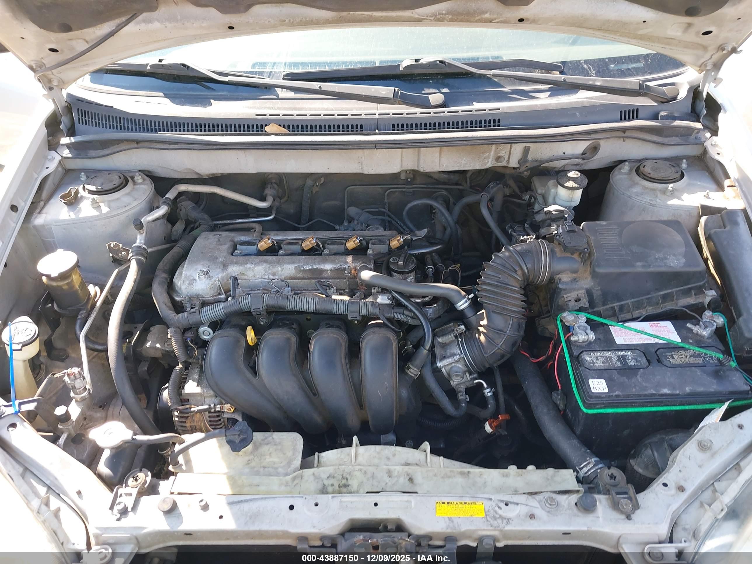 TOYOTA COROLLA image 10