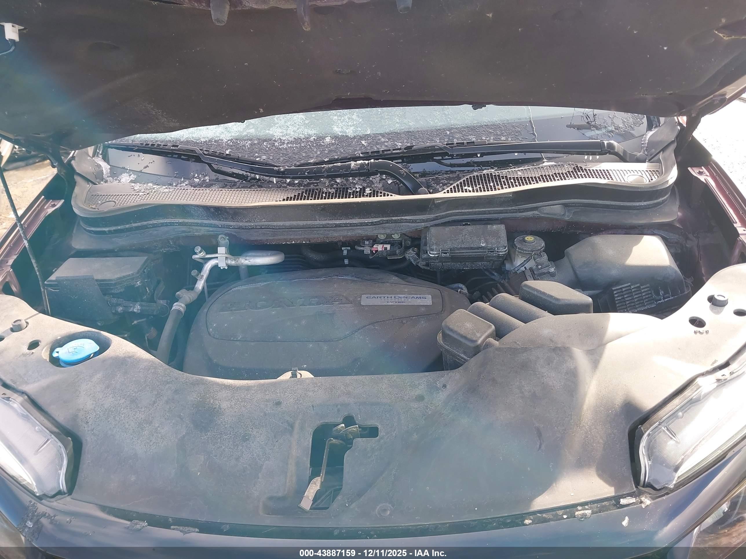 HONDA PASSPORT image 10