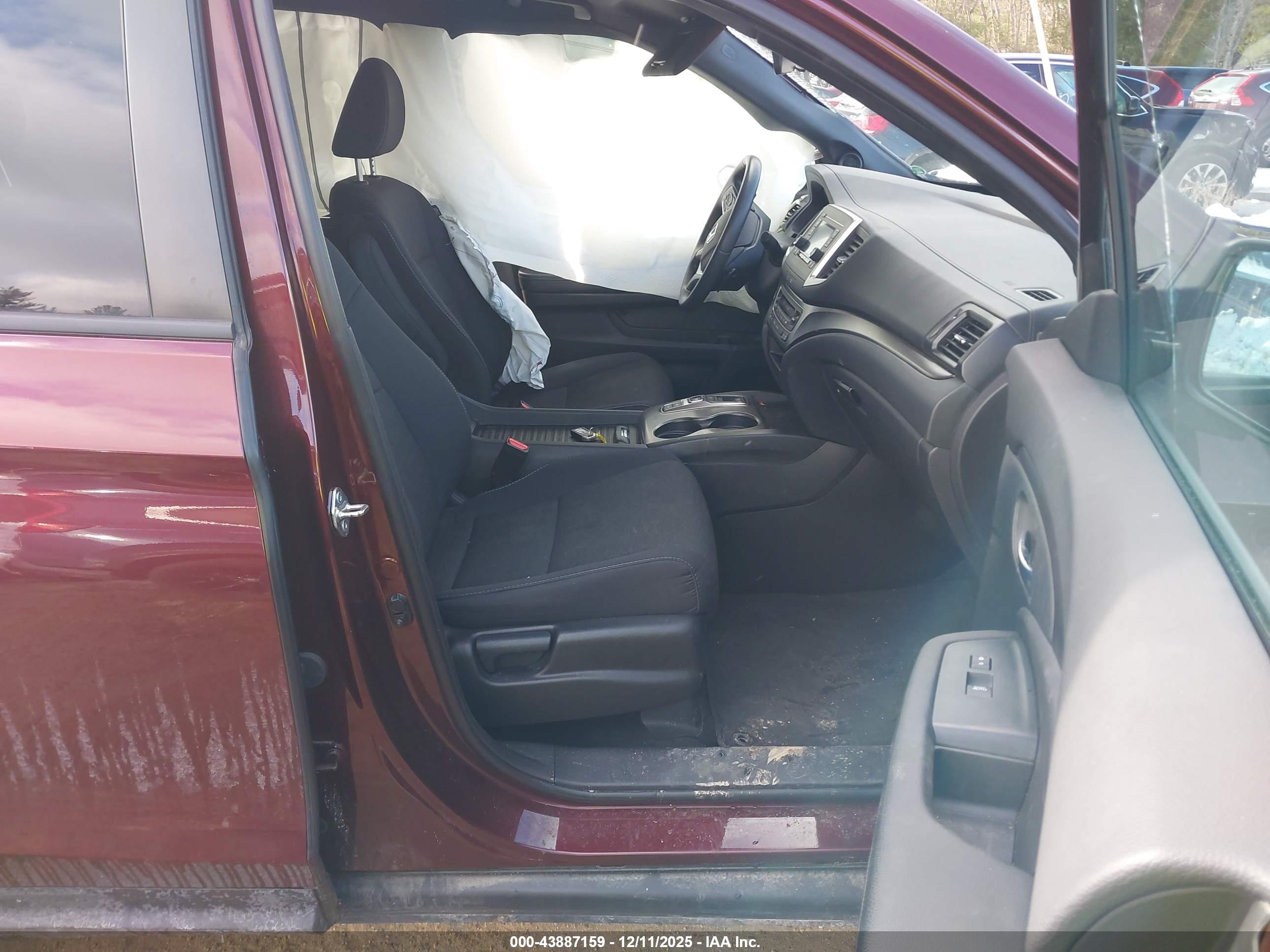 HONDA PASSPORT image 5