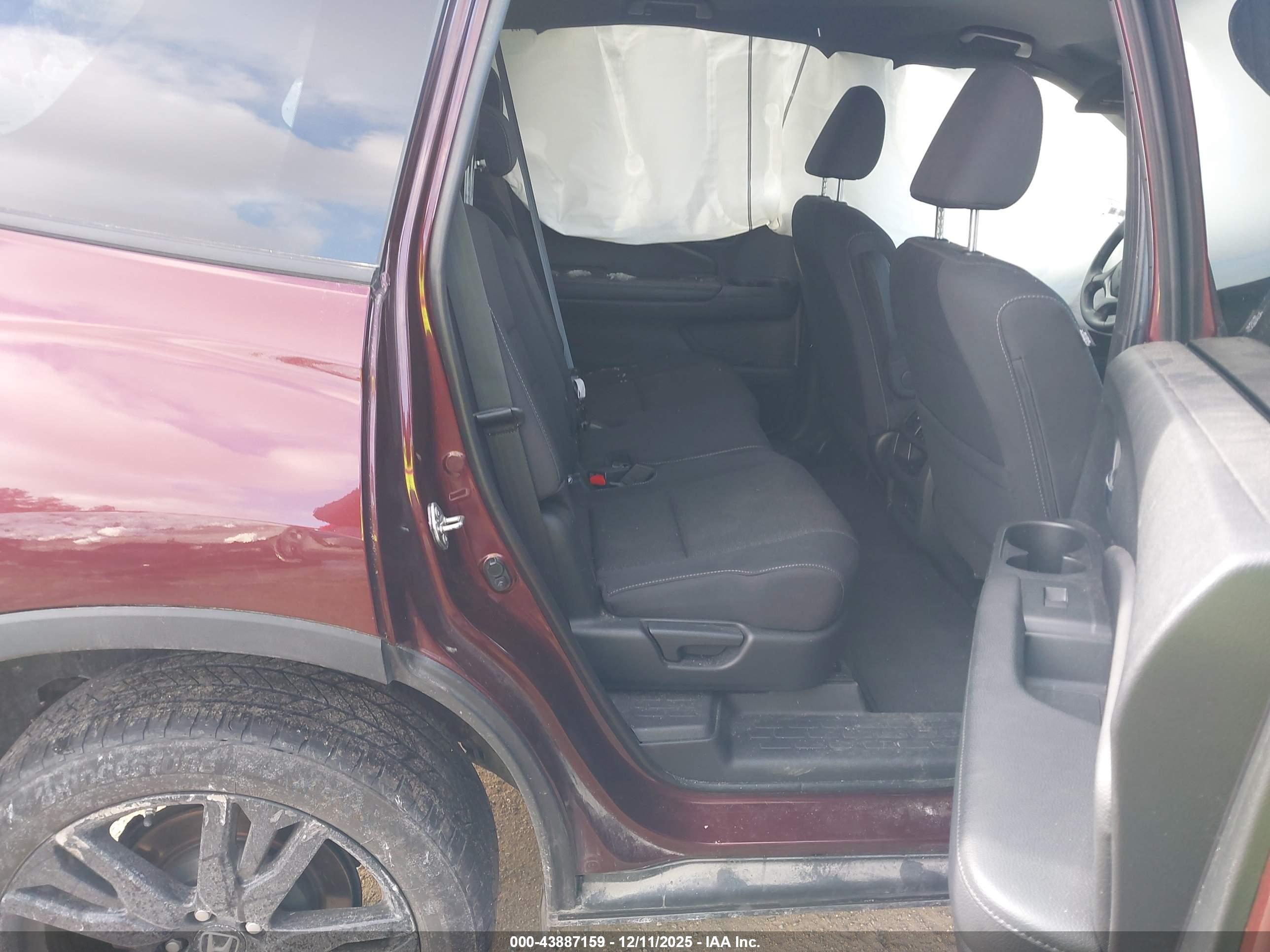 HONDA PASSPORT image 8