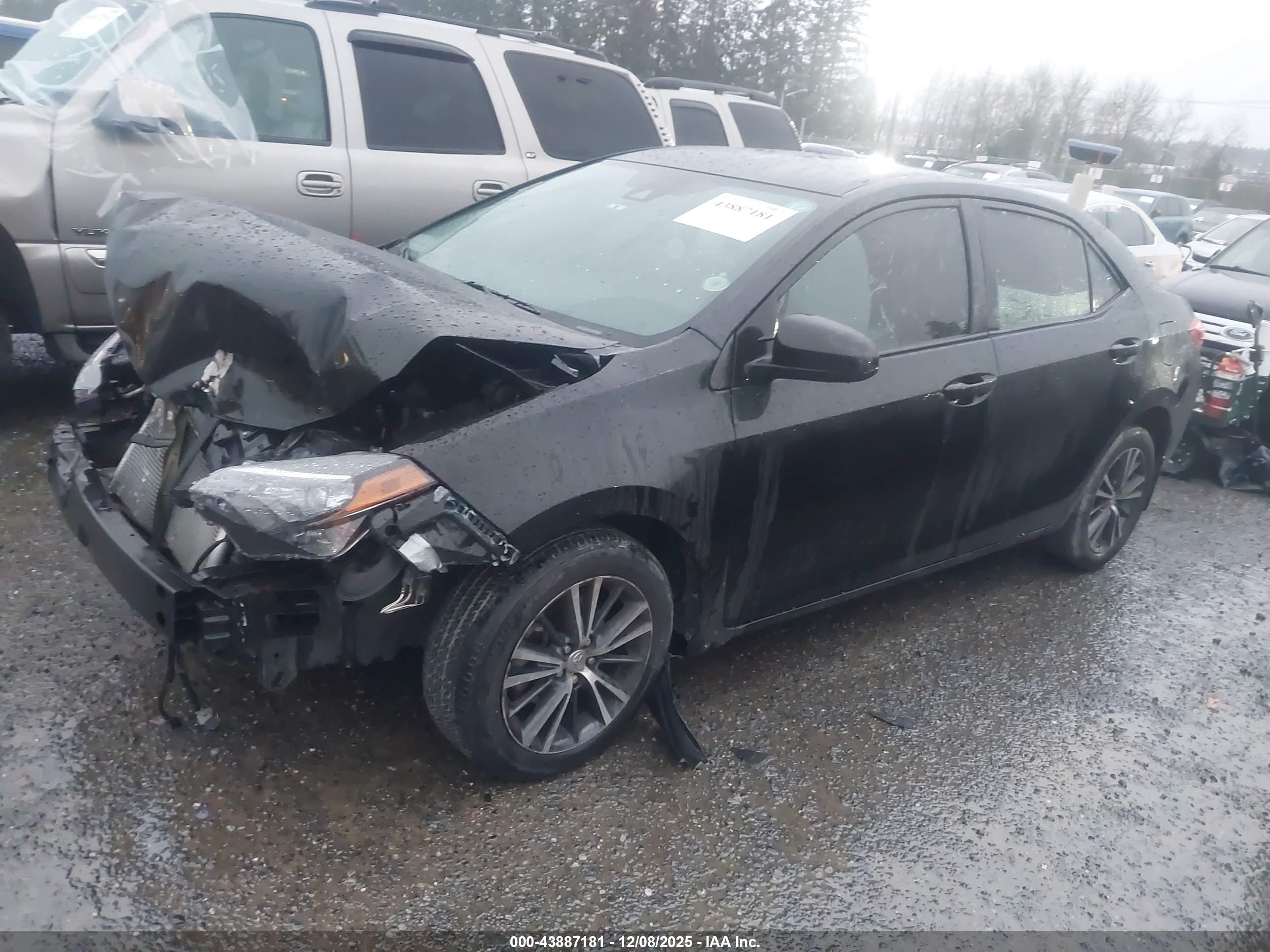 TOYOTA COROLLA image 2