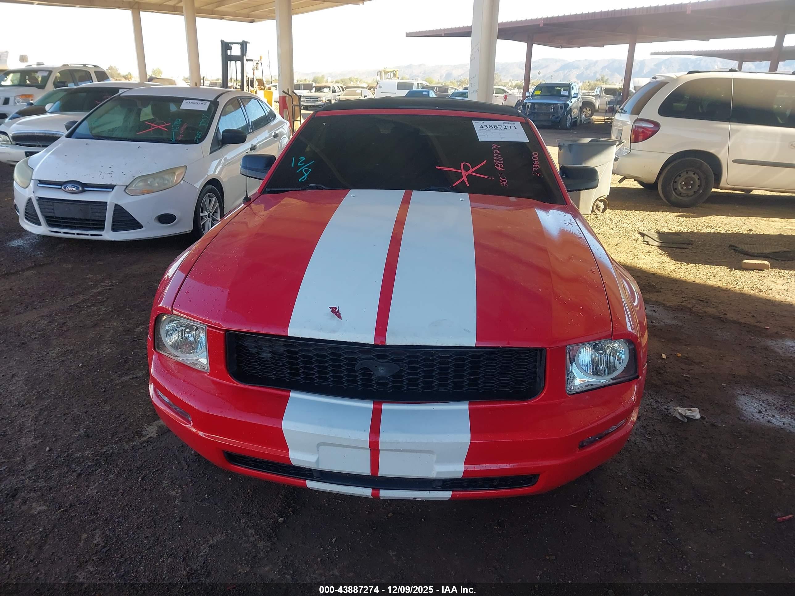 FORD MUSTANG image 6