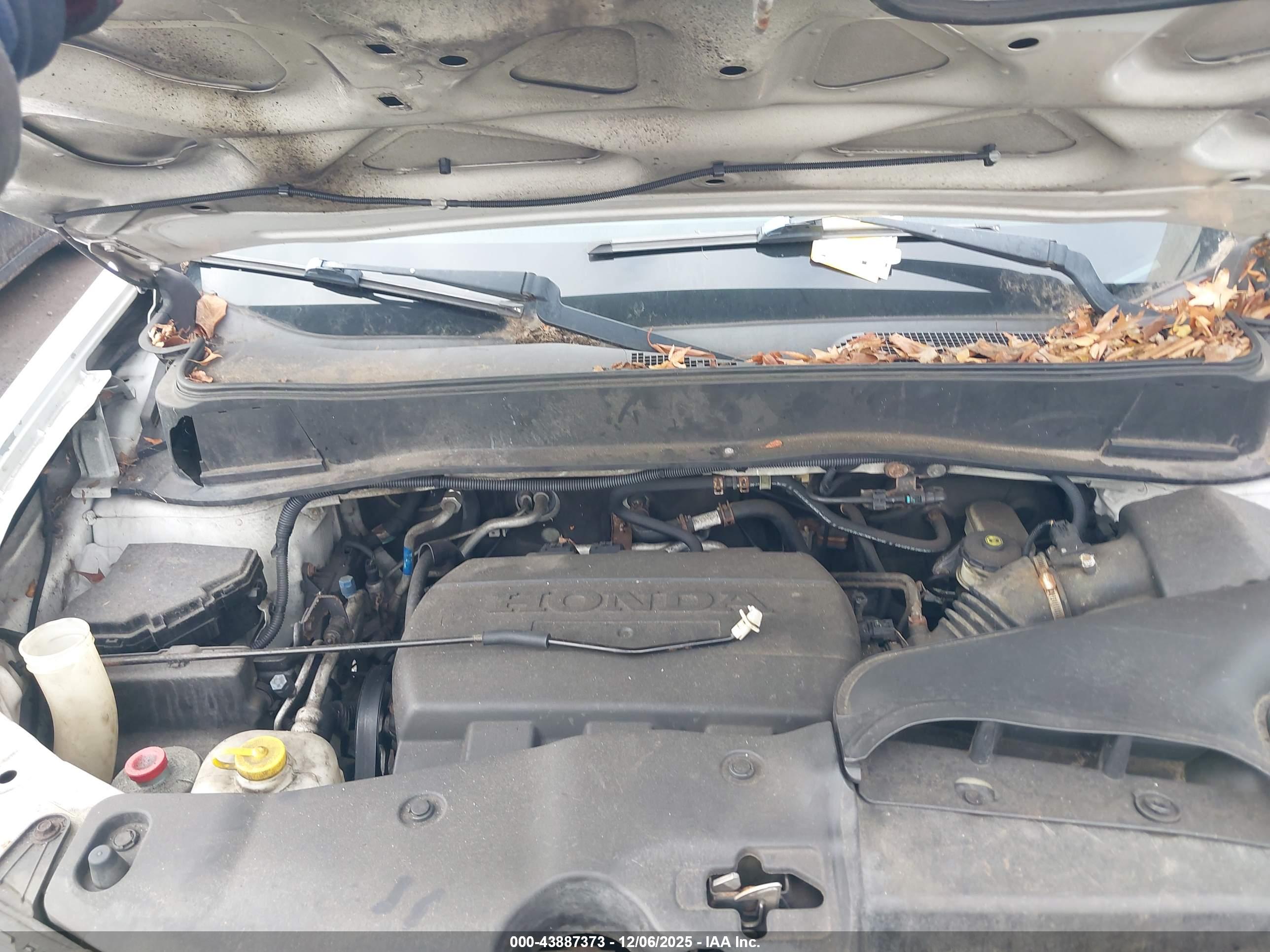HONDA PILOT image 10