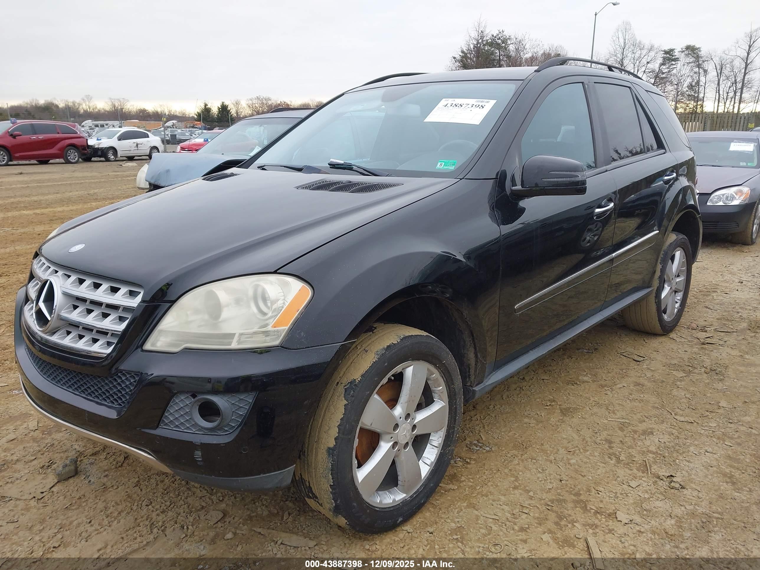 MERCEDES-BENZ ML image 2