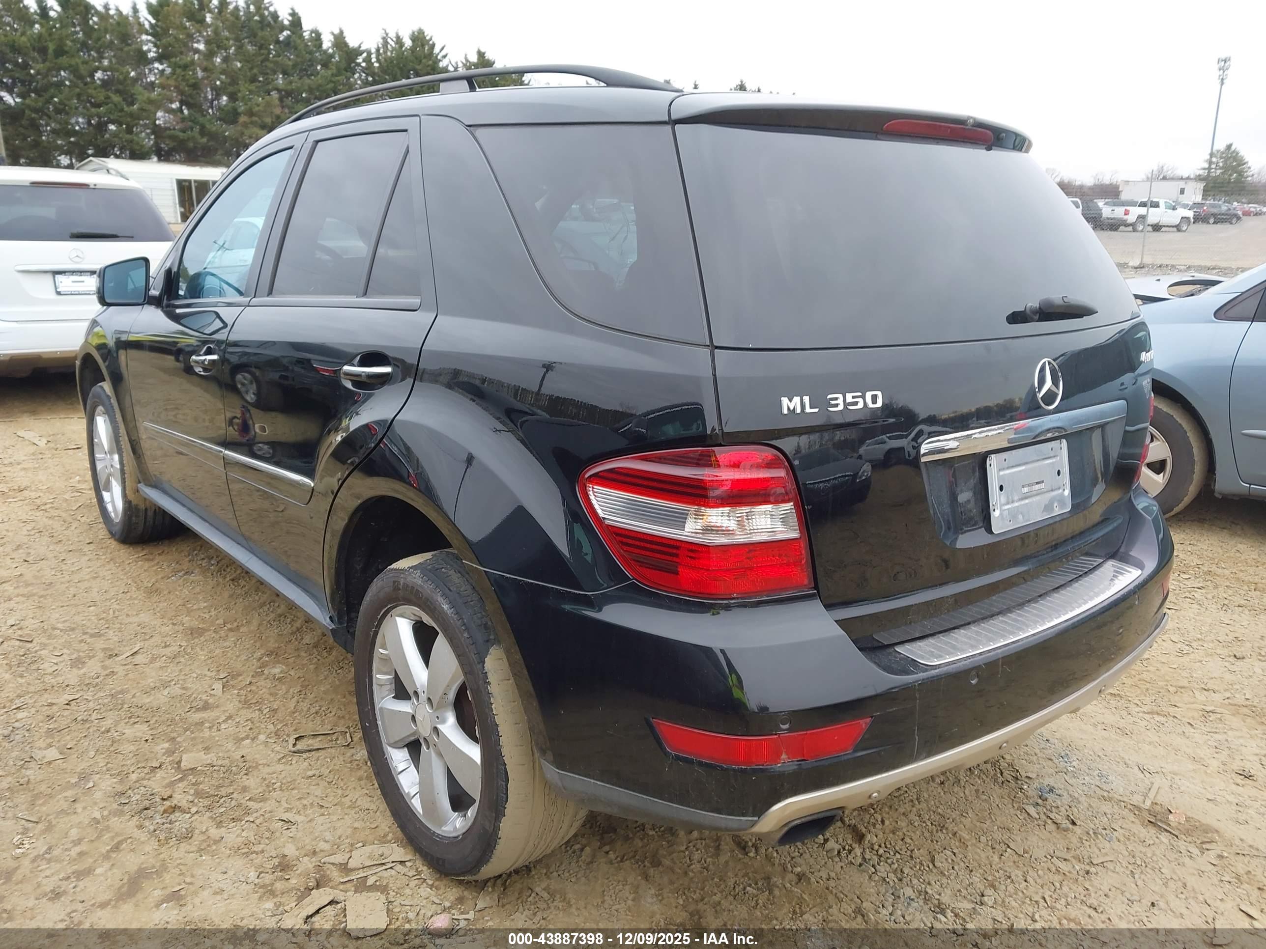 MERCEDES-BENZ ML image 3