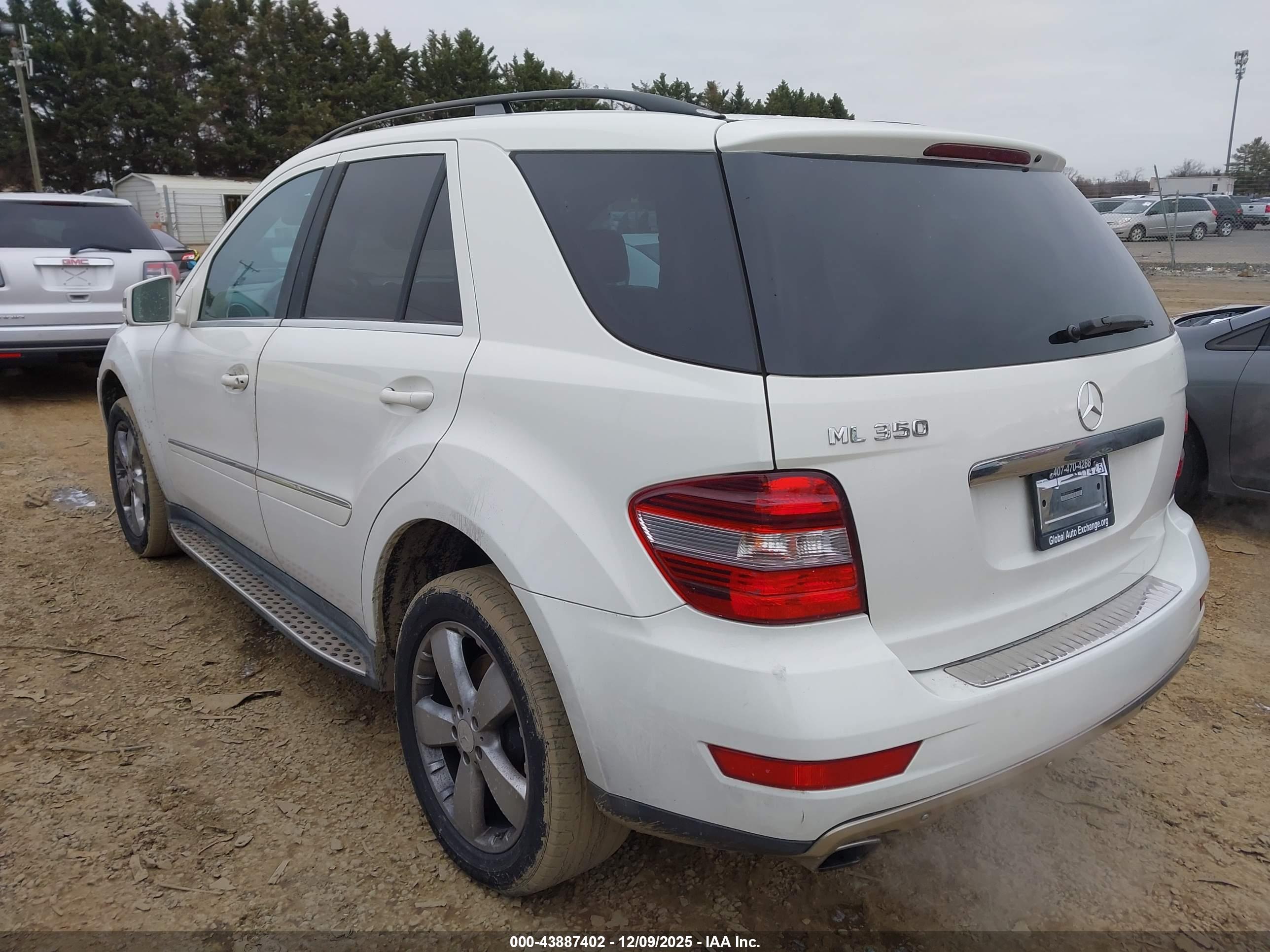 MERCEDES-BENZ ML image 3