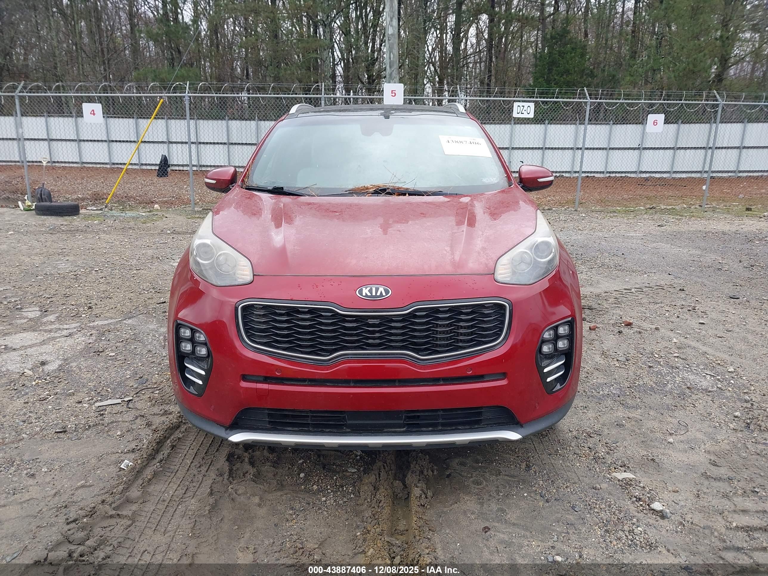 KIA SPORTAGE image 6