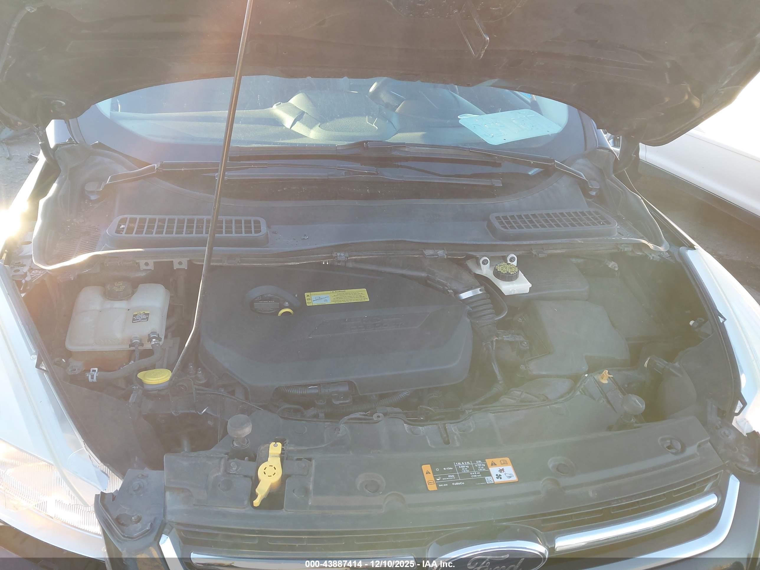 FORD ESCAPE image 10
