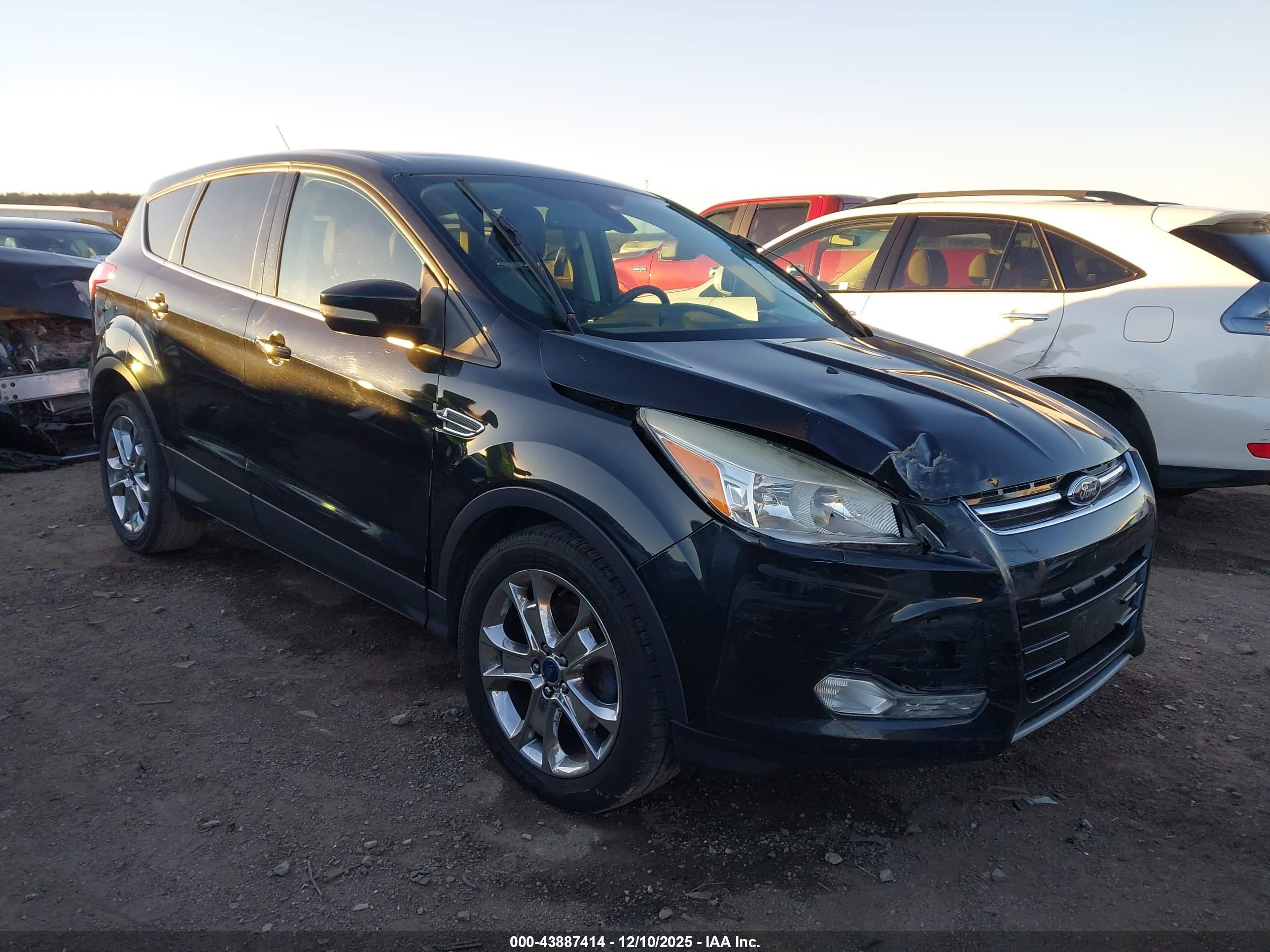FORD ESCAPE image 6