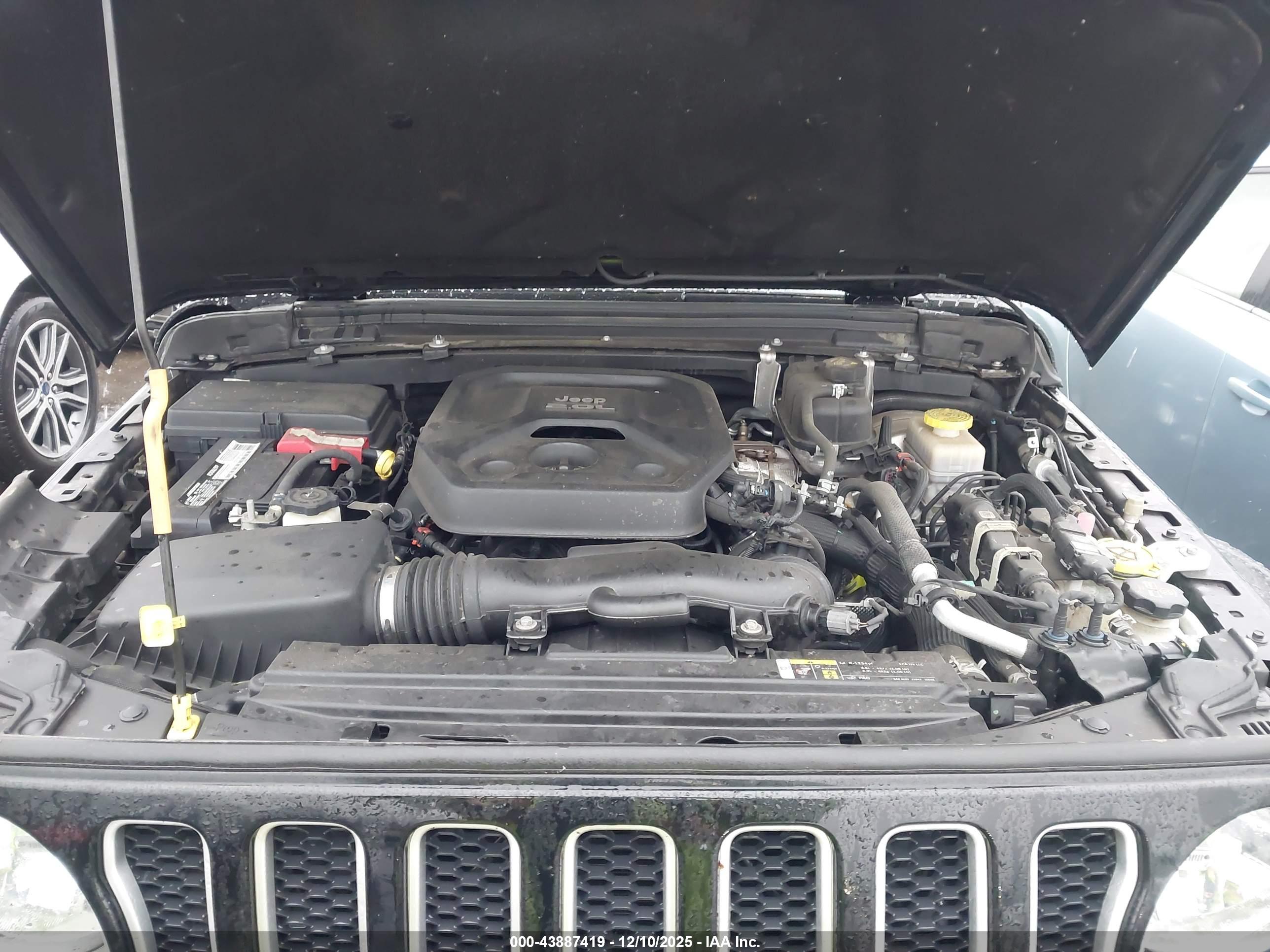 JEEP WRANGLER image 10