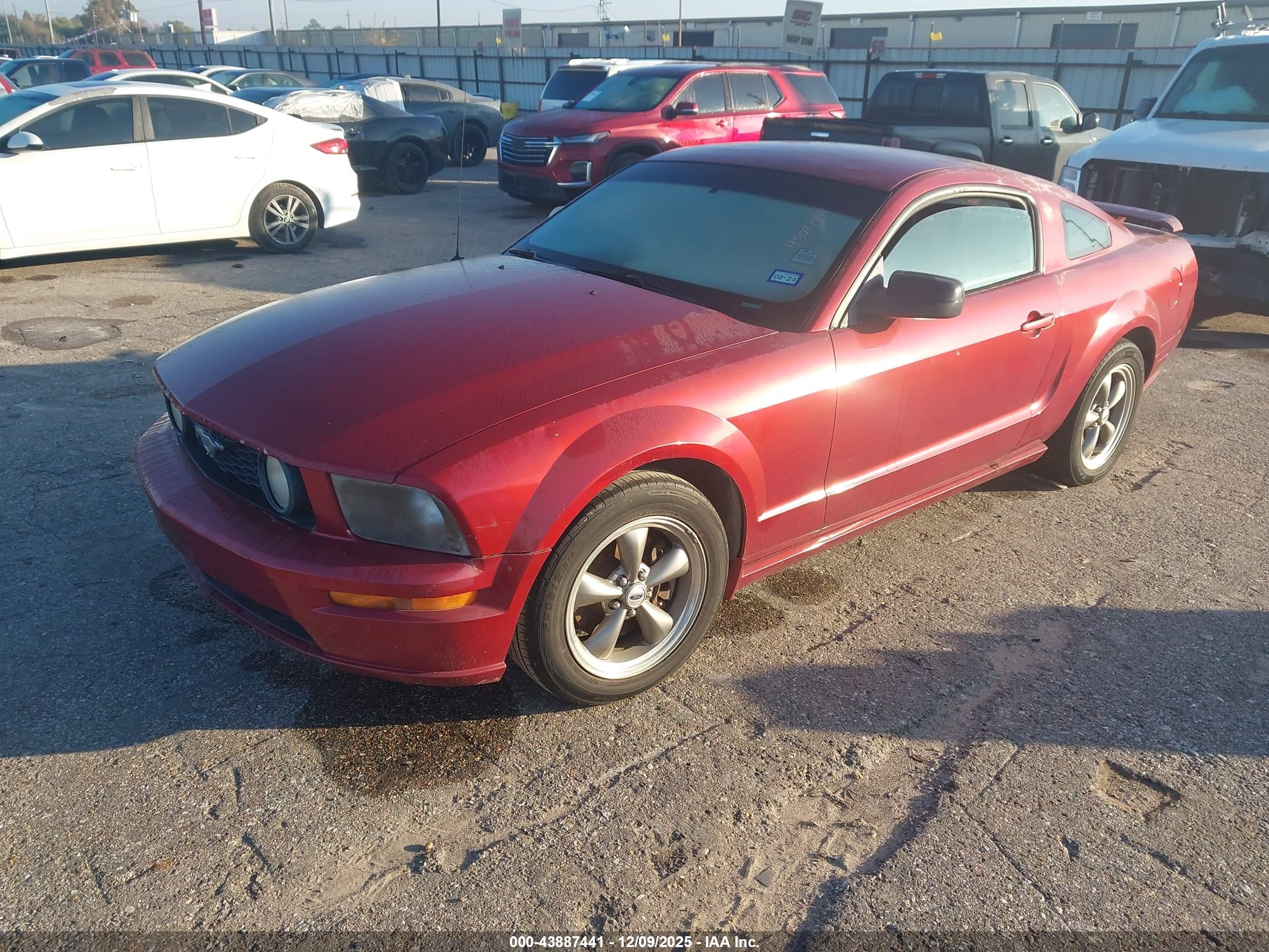 FORD MUSTANG image 2